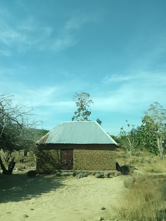 The scene, located in Jibam, Nigeria, depicts a single-story rectangular building under a bright, clear blue sky with sparse white clouds. The structure features textured, light brown mud or adobe walls and a corrugated metal gabled roof. A dark reddish-brown wooden door is centrally positioned on the visible facade, accessible via several dark grey stones serving as steps. The immediate ground surrounding the building is light brown, sandy earth with scattered rocks and pebbles. To the left, a leafless, gnarled tree stands. Behind the building and extending to the right, a mix of green-leafed and bare-branched trees and shrubs are present, with dry grasses visible in the far right foreground. Shadows are cast from the building and trees, indicating direct sunlight. No individuals or animals are visible.