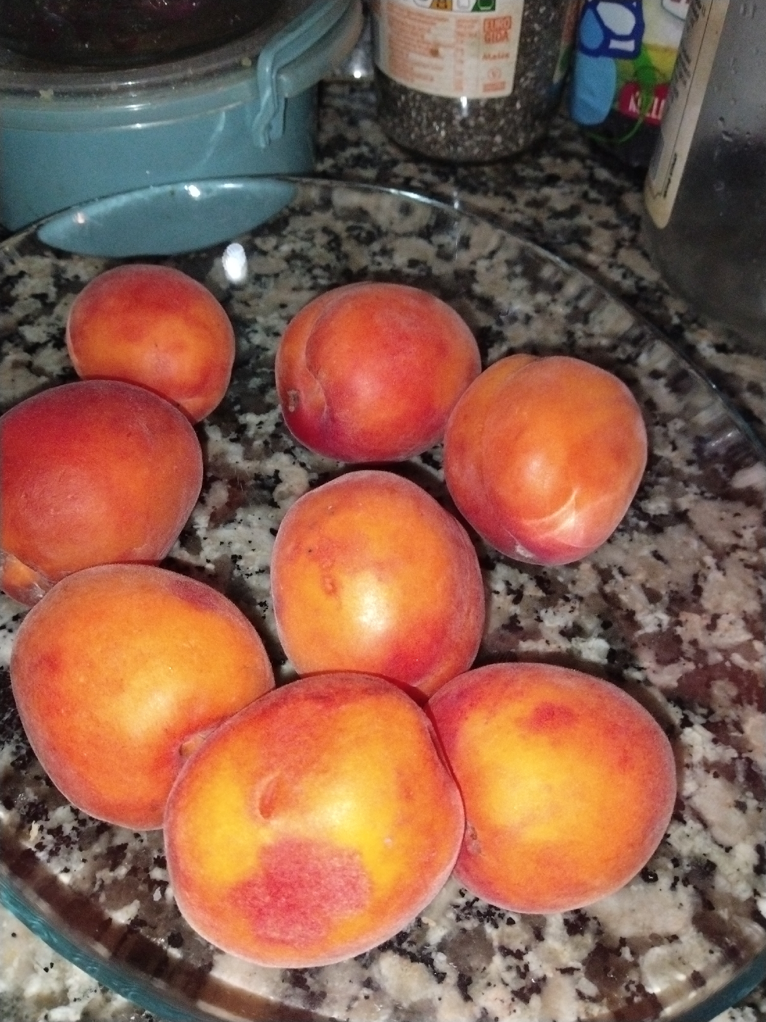 The image presents a close-up view of several ripe apricots arranged in a clear glass dish, which rests on a speckled countertop. Approximately nine apricots are visible, displaying vibrant orange and reddish-pink blush colors, characteristic of their ripeness. Their skin appears to have a soft, slightly fuzzy texture.
In the blurred background, various kitchen items are present. To the upper left, a teal-colored container with a lid is partially visible. To the upper right, a transparent jar filled with small, dark seeds, likely chia seeds, stands next to another taller container. A white label on the seed jar clearly displays the text "BIO" and "GIDA," meaning "food" in Turkish, which supports the provided location context of Sarıyer, Turkey.
The scene depicts an indoor setting, likely a kitchen, with no individuals present. The lighting is somewhat dim, highlighting the fruits' colors and creating subtle reflections on the glass dish and countertop. No specific activity is taking place; the image is a still life showcasing the fresh apricots among other pantry items.