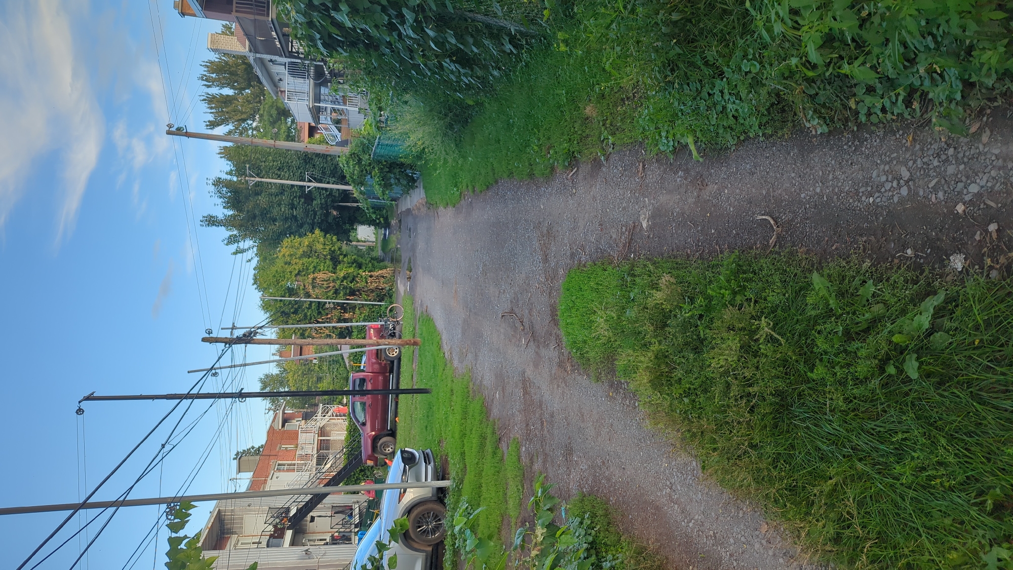 This image depicts a narrow, unpaved alleyway between residential buildings in Montreal, Canada. The alley is lined with grass and overgrown vegetation on both sides, with a gravel path running down the center. Several utility poles with overhead wires are visible. On the left side, a silver SUV is parked, and a red pickup truck is parked further down the alley. A bicycle is propped up against a utility pole. The buildings on either side appear to be multi-story residential structures with external staircases and balconies. The sky is blue with scattered clouds, suggesting it is daytime.