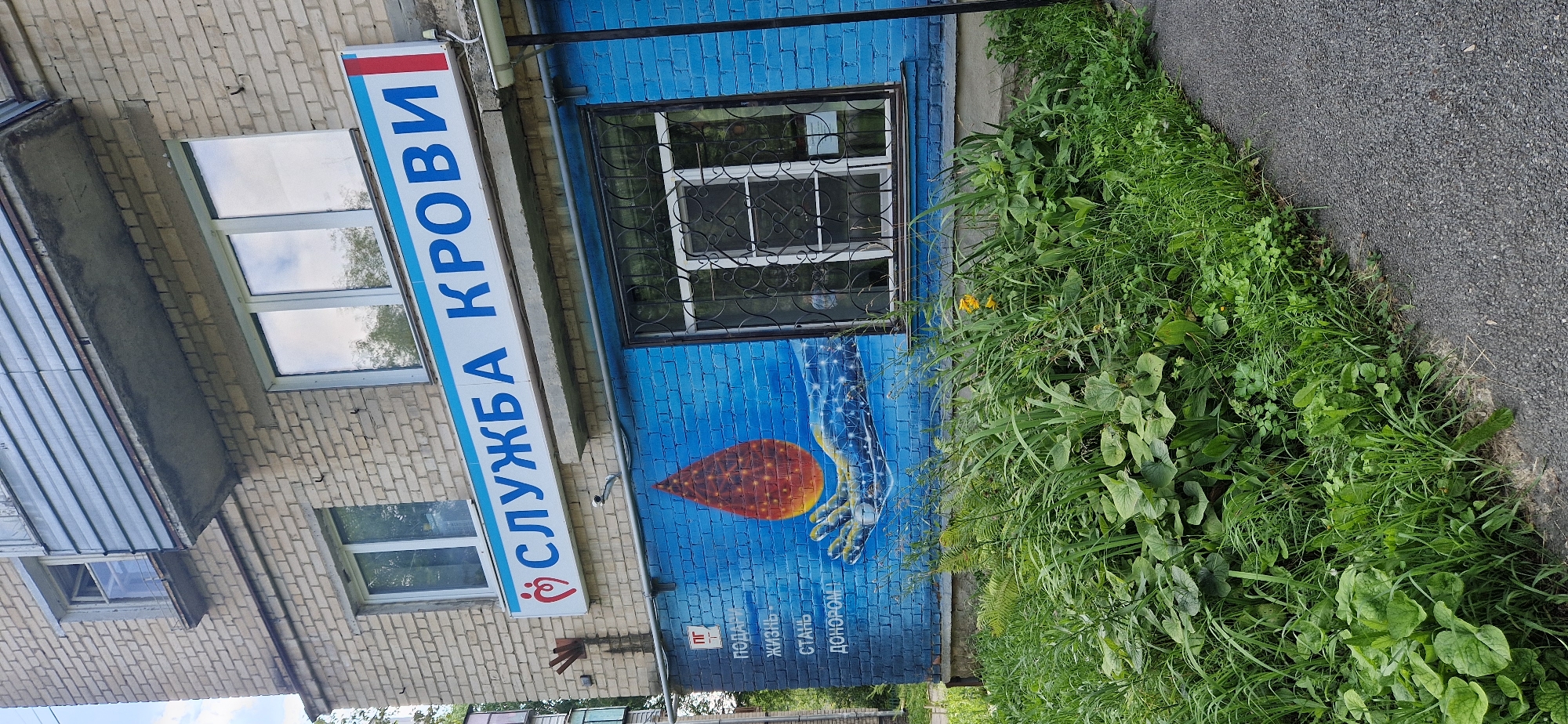 This image shows the exterior of a building in the city of Miass, Russia, which houses a blood donation service. The building has a brick facade and several windows. A prominent sign above a ground-floor window reads "СЛУЖБА КРОВИ" (Blood Service) in blue letters with a red and blue stripe on the right. Below the sign, a mural on the blue brick wall depicts a hand holding a glowing droplet of blood, symbolizing donation. Text on the mural reads "ПОДАРИ ЖИЗНЬ. СТАНЬ ДОНОРОМ!" (Donate Life. Become a Donor!). The surrounding area is overgrown with grass and weeds, with a paved pathway visible in the foreground. No people are visible in the scene.