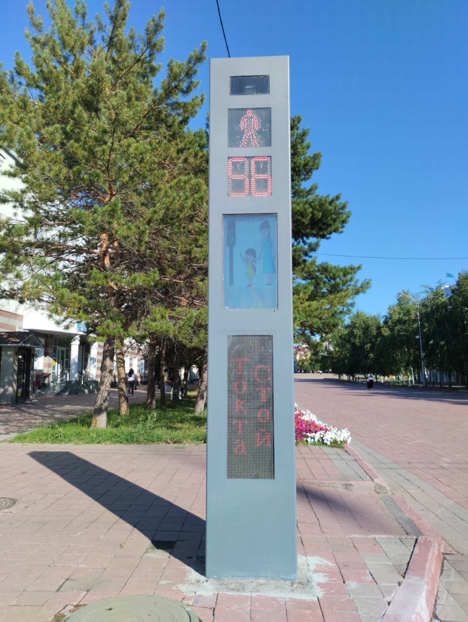 In Kostanay, Kazakhstan, on a sunny day, a grey pedestrian signal post stands prominently on a paved walkway. The post features a digital display showing a red walking figure, followed by the number "98" in red digits, then an image of a woman and a child crossing, and finally, a section with red text that appears to be in Cyrillic. The walkway is paved with reddish-brown square tiles, and a long shadow from the signal post stretches across it. To the left of the post, several mature pine trees cast shadows on the ground. In the background, a building with a light-colored facade and dark windows can be seen, along with other trees and lampposts. A flowerbed with pink and white flowers is visible near the base of the post. The sky is a clear, bright blue.