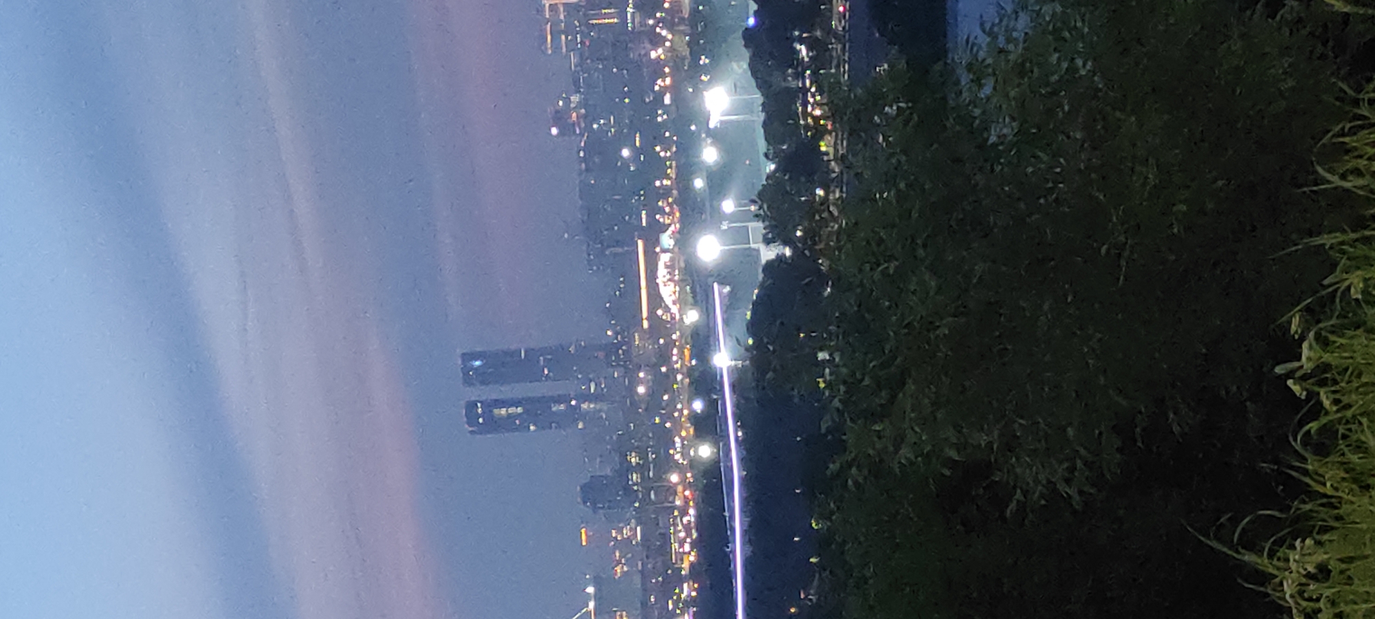 A nighttime cityscape is depicted from a high vantage point, overlooking a body of water and a distant urban sprawl. In the foreground, dense, dark green foliage partially obscures the view of the city. Further back, the city lights twinkle, creating a blurred effect. Dominating the mid-ground are two exceptionally tall, slender skyscrapers that appear illuminated from within, standing out against the hazy sky. A bridge with lights is visible spanning across the water, and several lampposts are dotted throughout the city. The sky above is a gradient of deep blue and muted purple, with streaks of lighter clouds. The image is grainy and slightly out of focus, typical of low-light photography. The scene is devoid of any visible people. This view is characteristic of the Moscow City business district, with the two skyscrapers likely being the Federation Tower.