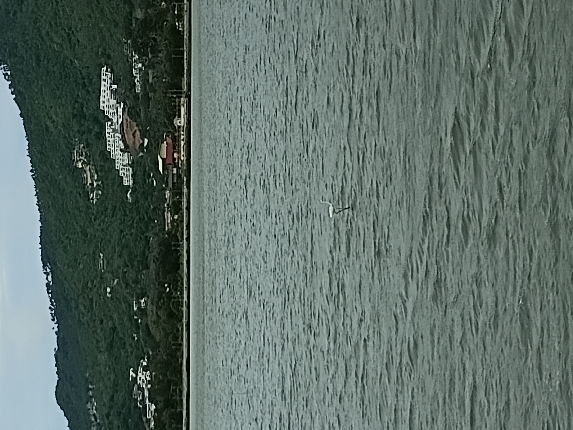 A lone white bird stands in the choppy, gray water of a bay in Ko Samui District, Thailand. The bird is facing to the left, with its long neck extended. In the background, a lush green, forested hillside rises steeply. The hillside is dotted with modern white buildings, appearing to be hotels or residential complexes, cascading down its slopes. A few smaller, red-roofed buildings are visible at the base of the hill, closer to the water's edge. The sky is overcast, casting a subdued light on the scene.