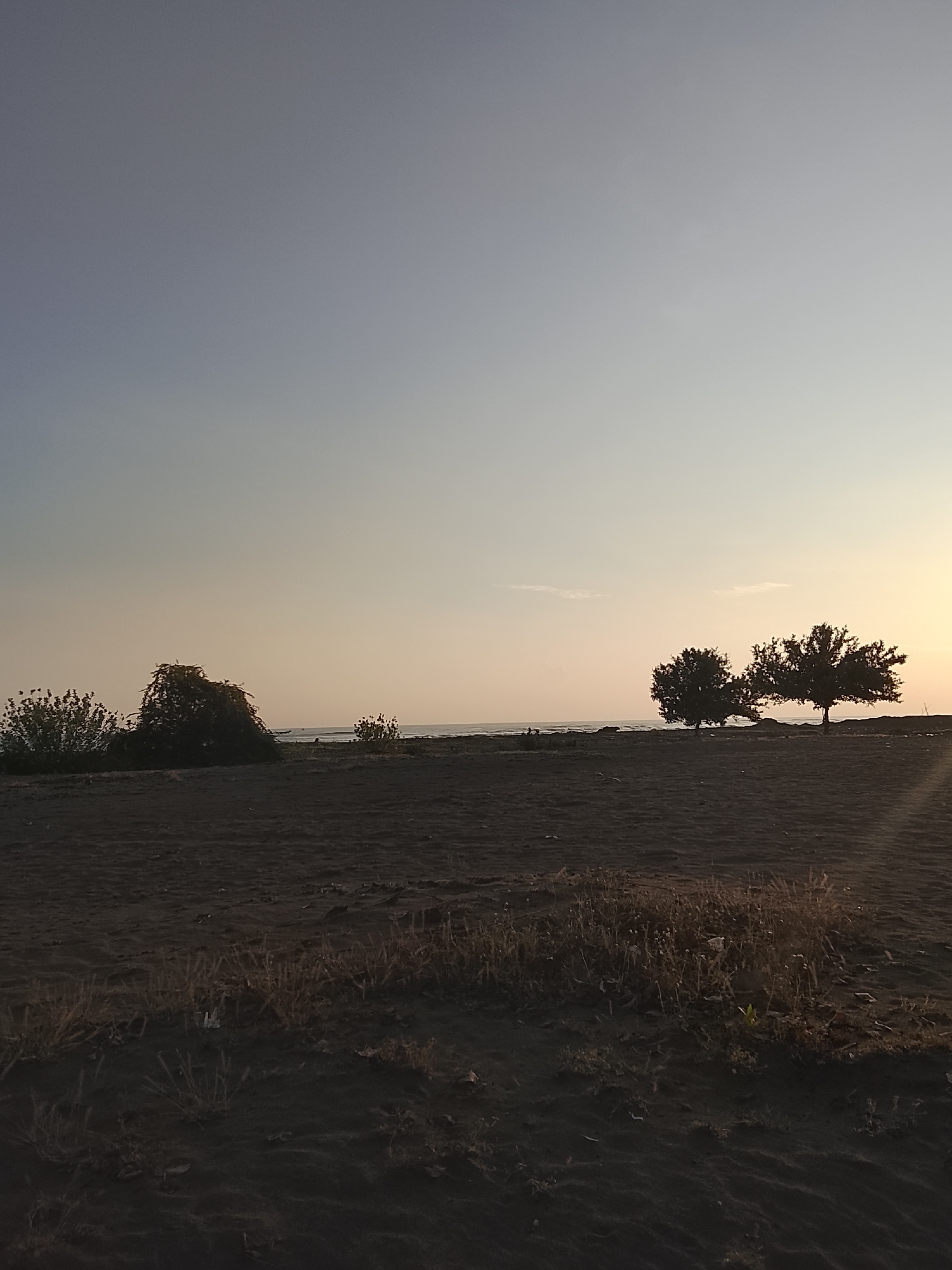 The image depicts a serene coastal landscape at dusk or dawn, likely in Reudeuep, Indonesia. The sky transitions from a pale blue at the top to a warm, soft yellow-orange near the horizon, suggesting either sunrise or sunset. A calm body of water, presumably the sea, is visible in the distance, separated from the foreground by a dark, sandy beach. Several trees and bushes dot the landscape along the shoreline. In the mid-ground, a cluster of dark green foliage stands prominently, with two distinct trees silhouetted against the lighter sky to its right. The foreground is dominated by dark, granular sand, with sparse, dry vegetation growing in clumps. The overall atmosphere is tranquil and natural, with no visible human activity, buildings, or signs of urban development.