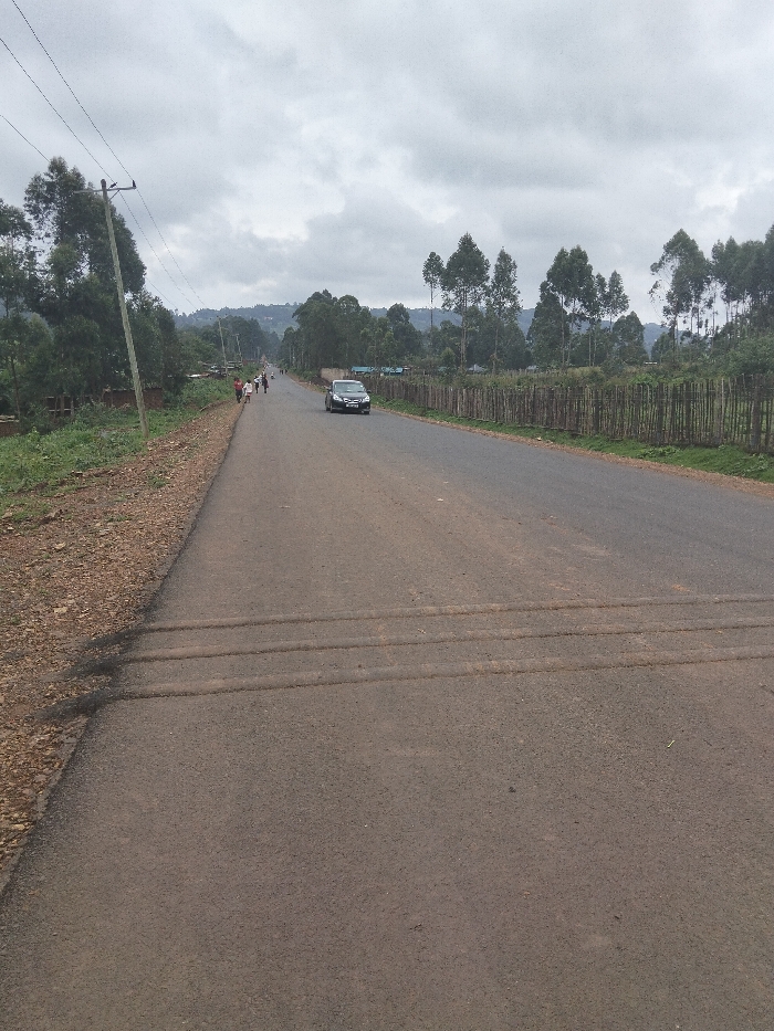 The image displays an asphalt road in Nyansiongo ward, Kenya, extending into the distance under an overcast sky. The road surface in the foreground exhibits two distinct, parallel transverse indentations.
On the left side of the road, a dirt shoulder is present, along with a wooden utility pole supporting overhead power lines. Further down the road on the left, a group of approximately five to seven individuals is observed walking in the same direction as the road's perspective, away from the viewer.
On the right side of the road, a fence composed of numerous vertical wooden poles separates the asphalt from a grassy area. A dark-colored sedan is visible on the right side of the road, in the mid-ground, driving away from the viewer. Both sides of the road are bordered by dense green vegetation, including numerous tall, slender trees, consistent with eucalyptus species, particularly prominent on the right and receding into the background. The horizon features rolling hills densely covered in trees.