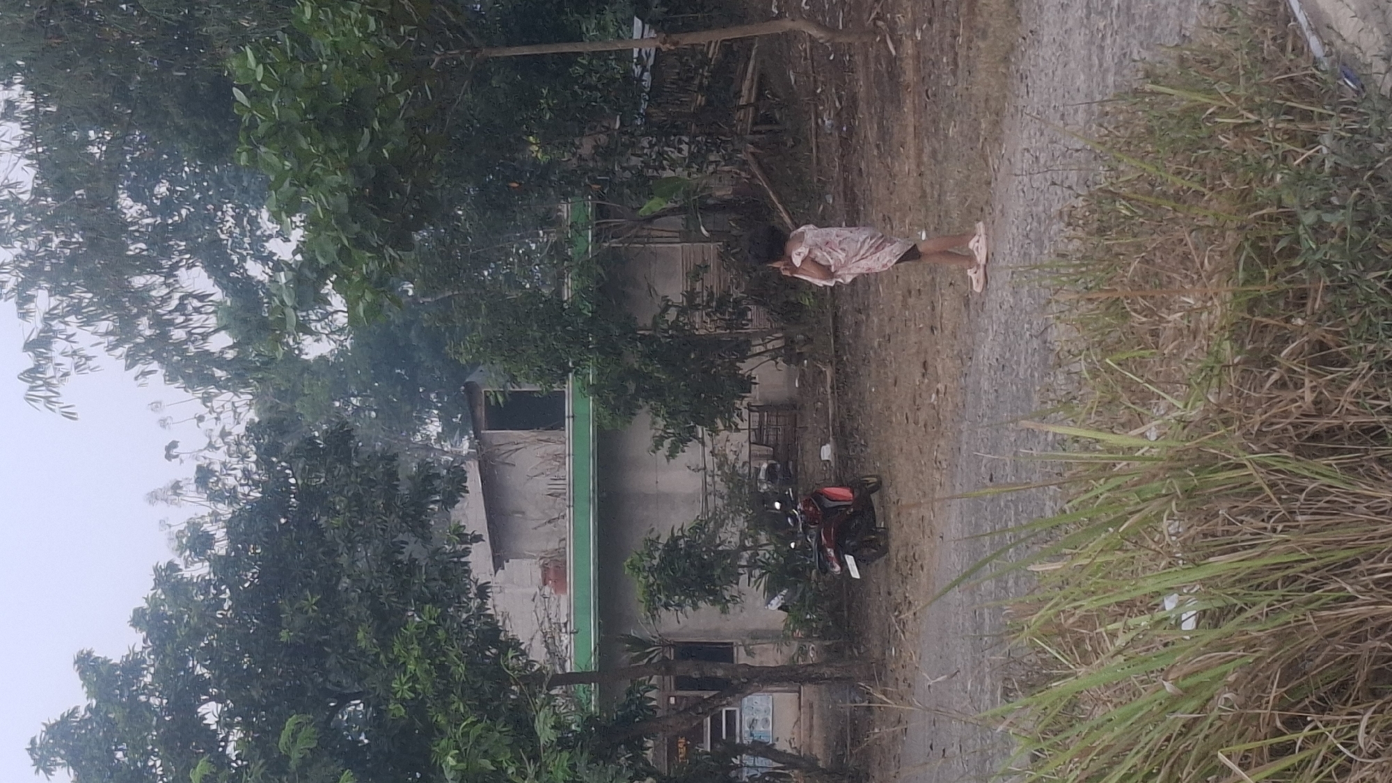 An outdoor, eye-level, medium shot captures a young girl standing on a dirt path in front of a building. The girl, seen from behind, wears a light-colored, patterned dress and light-colored flip-flops. She appears to be looking to her right, with her hands near her face.
Behind her is a simple, light-colored building with a green roof overhang. The building has a second story with exposed concrete and what appears to be a window or doorway. A red motorcycle is parked on the dirt path to the left of the building.
The environment is overgrown with various types of vegetation, including tall grass in the foreground and trees surrounding the building. The ground is a mixture of dirt and gravel. The overall scene suggests a rural or semi-rural setting. The weather appears overcast, contributing to a muted color palette.