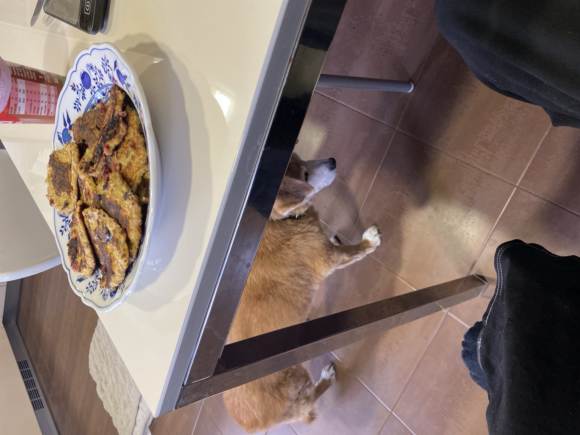 A dog lies on a tiled floor under a table in Villaviciosa, Spain. A plate of food sits on the table. A person in black pants sits to the right of the table.