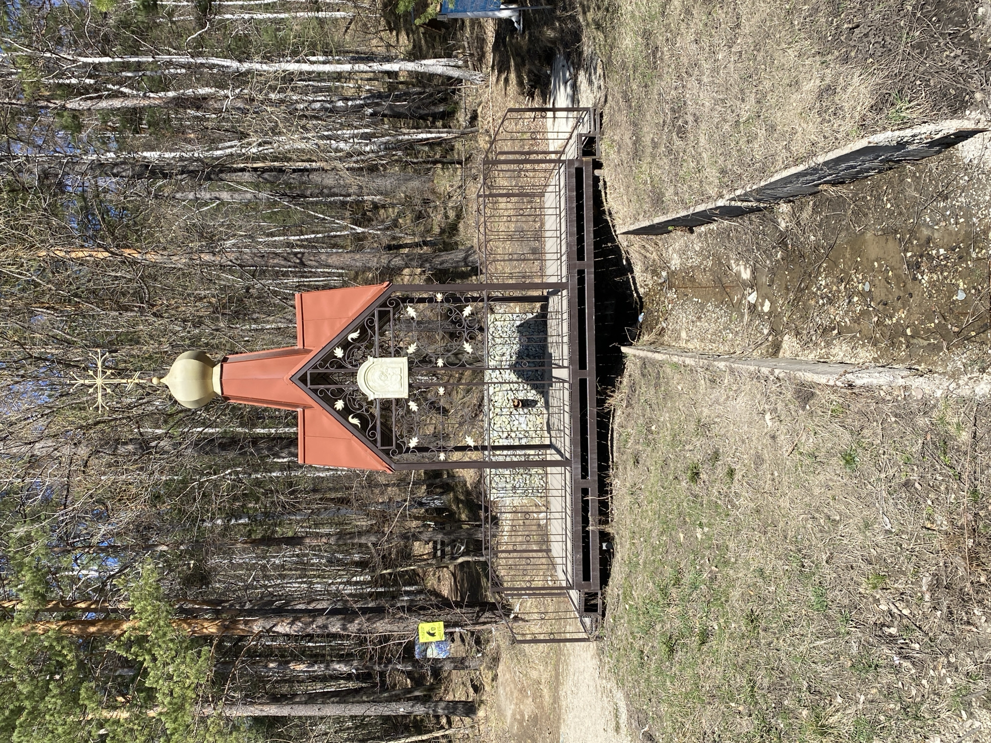 The image shows an above-ground structure over a natural water feature, possibly a spring or stream, in Patrony, Russia. The structure has a pitched, red roof with a golden dome and cross, indicative of religious significance. The structure is enclosed by decorative metalwork, featuring leaf motifs, and a central inscribed plaque. A metal bridge provides access across the water. The surrounding environment is a wooded area with bare trees and dry grass, suggesting early spring. A small yellow sign is visible near the base of the structure.