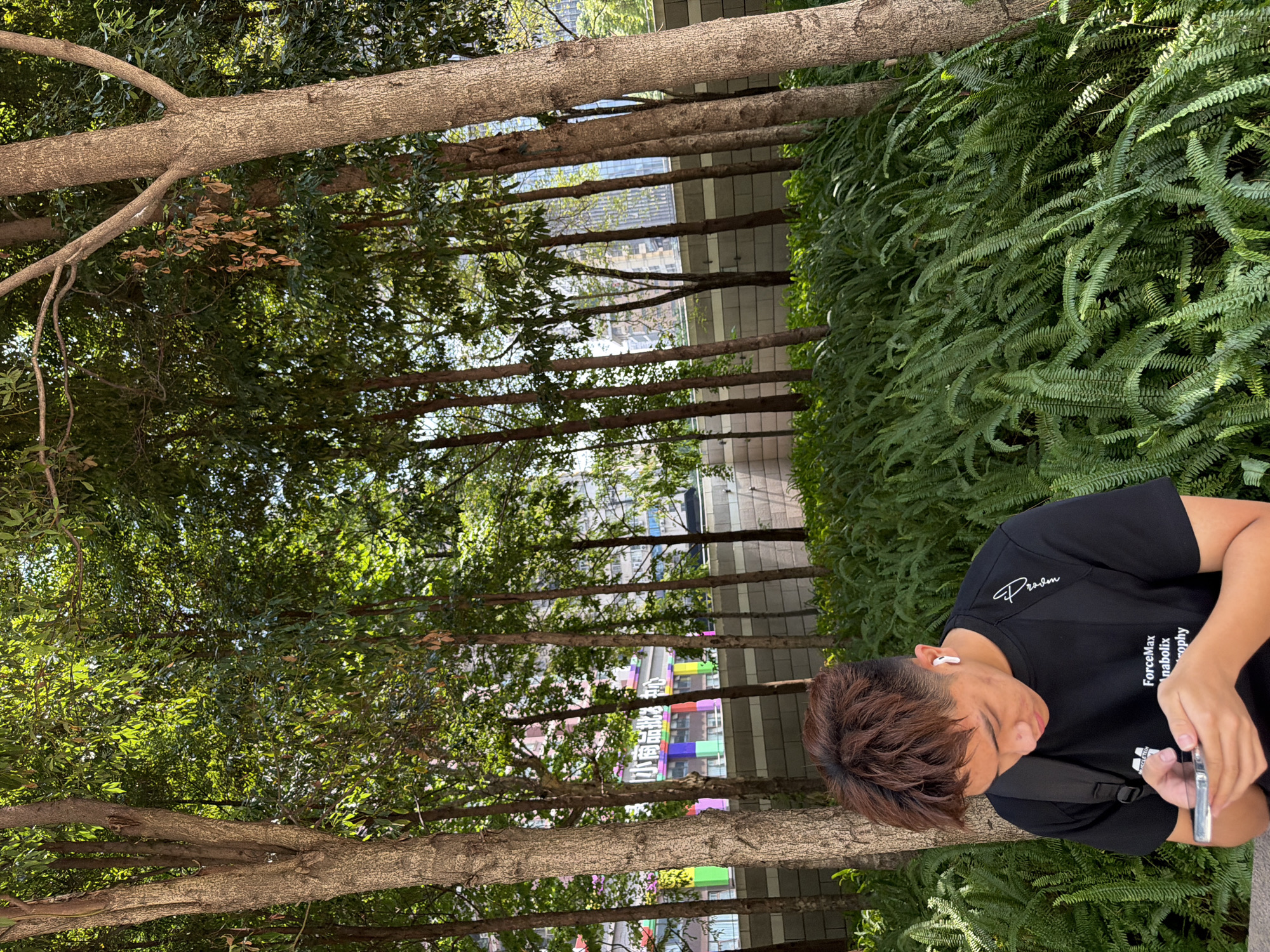An Asian male with short, reddish-brown hair and white earbuds is seated in front of dense green ferns, looking down at his smartphone. He is wearing a black t-shirt with white lettering and a black backpack. The background features a row of slender trees with textured bark and lush green foliage. Behind the trees, a multi-story building with colorful accents and windows is visible, suggesting an urban setting. A light-colored wall and more greenery are present in the mid-ground. The scene appears to be outdoors in a park or a landscaped urban area.
