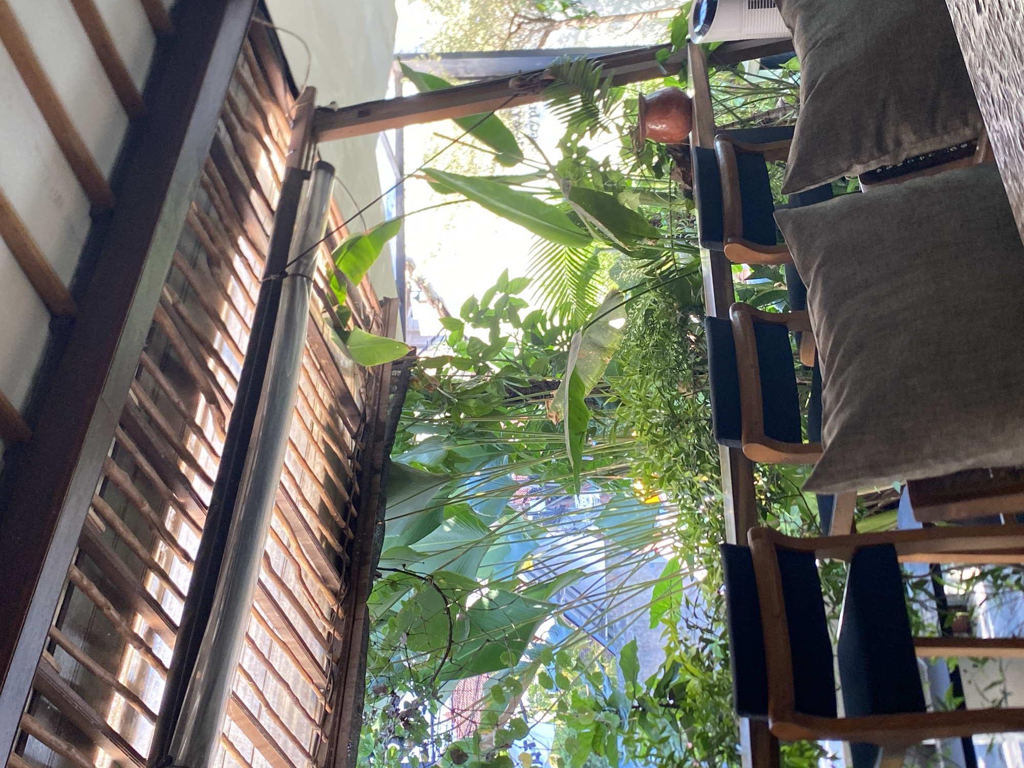 The image depicts an outdoor seating area, likely a cafe or restaurant, with a focus on lush greenery and natural materials. The ceiling is constructed from wooden beams and bamboo, with corrugated plastic sheeting allowing dappled sunlight to filter through. Below, a row of dark-seated wooden chairs with open backs are positioned behind a wooden counter. A variety of large, tropical plants, including what appear to be bird of paradise leaves, are visible behind the counter, creating a vibrant green backdrop. In the foreground, two large, dark grey cushions are prominent. To the right, a rustic terracotta pot sits on the counter, and beyond it, a white portable air conditioner is visible. The scene suggests a tranquil, nature-inspired setting, likely in a tropical climate. Given the context provided, this scene is located in North Kuta, Indonesia.