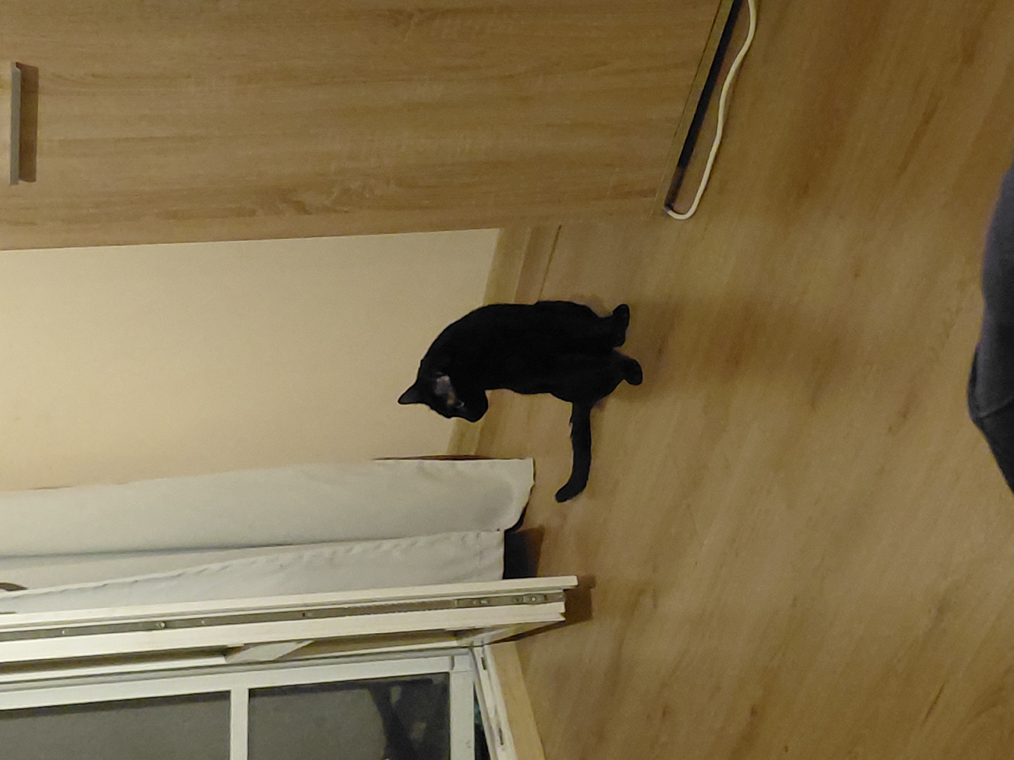 A rotated indoor shot depicts a black cat perched on top of a white-covered object, likely a window air conditioner. The cat is positioned between a wall and the wood-grained surface of a floor or table. A white cable is present on the upper right. A partially visible person is on the right side of the frame. The location is presumed to be Sofia, Bulgaria, based on the instructions.