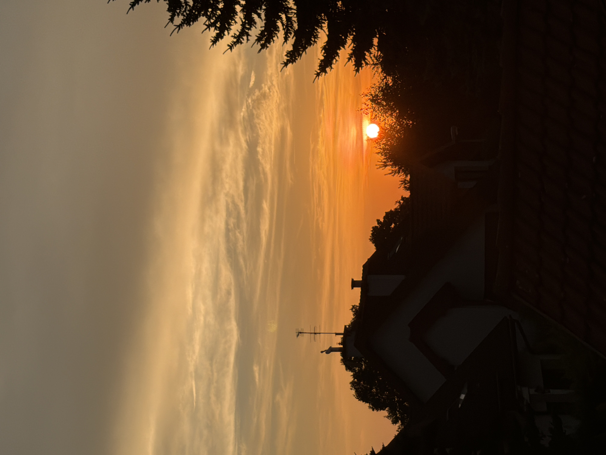 This is a vertical, low-angle shot of a sunset over a residential area, viewed from a slightly elevated position. The sun, a bright orange orb, is visible in the right half of the frame, partially obscured by silhouetted trees and the roofline of a building. The sky is filled with streaks of soft, wispy clouds, transitioning from a pale yellow on the left to a vibrant orange on the right, indicating sunset.
In the foreground and middle ground, dark silhouettes of tree branches are visible at the top and along the right edge. Below the sky, the dark outlines of rooftops and trees suggest a neighborhood. A building with a distinct roof shape is prominent, and on its roof, an antenna is clearly visible, along with what appears to be a weather vane. The overall atmosphere is tranquil and serene, typical of a late evening. The light quality strongly suggests it is either sunrise or sunset. No people are visible, and there is no text in the image.