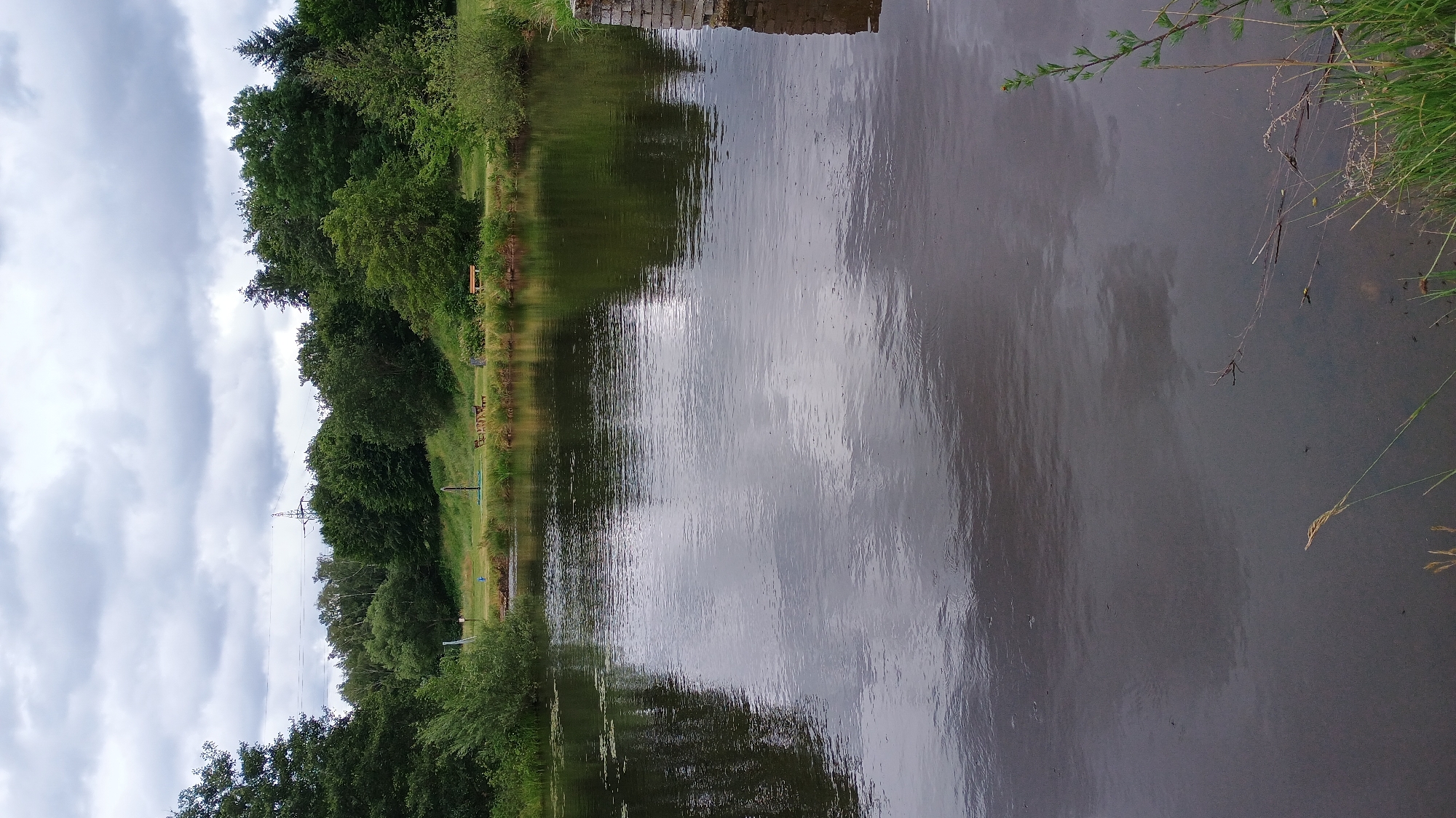 This image depicts a calm body of water, likely a pond or lake, bordered by lush green trees and vegetation. In the background, a line of trees forms a dense forest. There are a few picnic tables visible along the grassy bank, suggesting a recreational area. The sky is overcast with heavy clouds. The water's surface reflects the sky and surrounding foliage. The location is identified as being in Sokolov, Czechia.