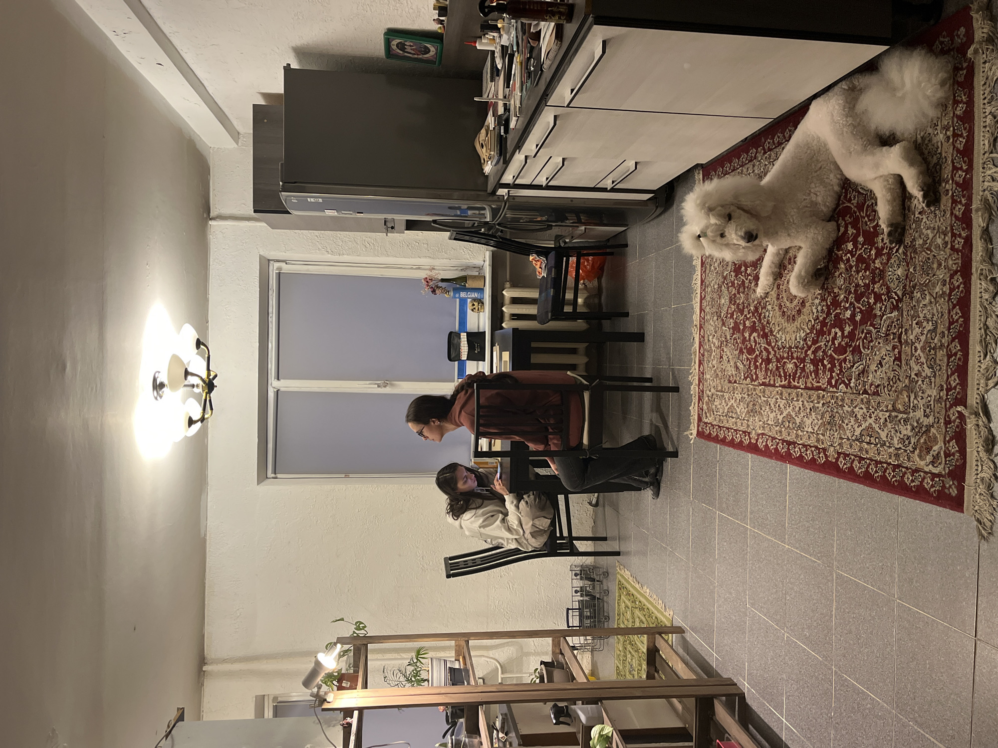 The image depicts an indoor scene in a residential area. Two individuals are seated at a table near a window, both appearing to be engaged with electronic devices. One person is wearing a reddish-brown top, while the other is in a light-colored jacket. The table and chairs are positioned in a kitchen area, which includes kitchen cabinets, a refrigerator, and various items on the counter. A large, white dog is lying on a patterned rug on the floor. A wooden shelf unit is in the foreground, holding plants and other objects. The lighting appears to be a mix of natural light coming through the window and artificial light from a wall fixture. The floor is covered with gray tiles. The image does not provide sufficient information to determine the city.