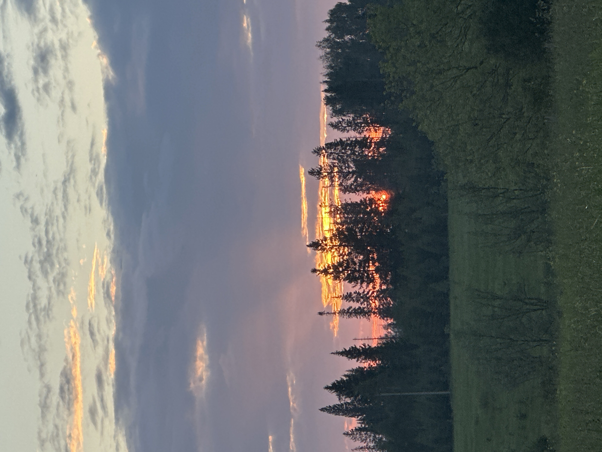 This is a photograph taken in Buranovo, Russia, depicting a sunset over a forested landscape. The sky is filled with dramatic clouds, tinged with hues of orange, pink, and purple as the sun sets behind a dense line of evergreen trees. Sunlight pierces through the clouds and trees in several places, creating a warm, radiant glow. In the foreground, a green field with scattered bushes and tall grass stretches across the lower part of the image. The overall scene is serene and captures the natural beauty of the Russian countryside at dusk.