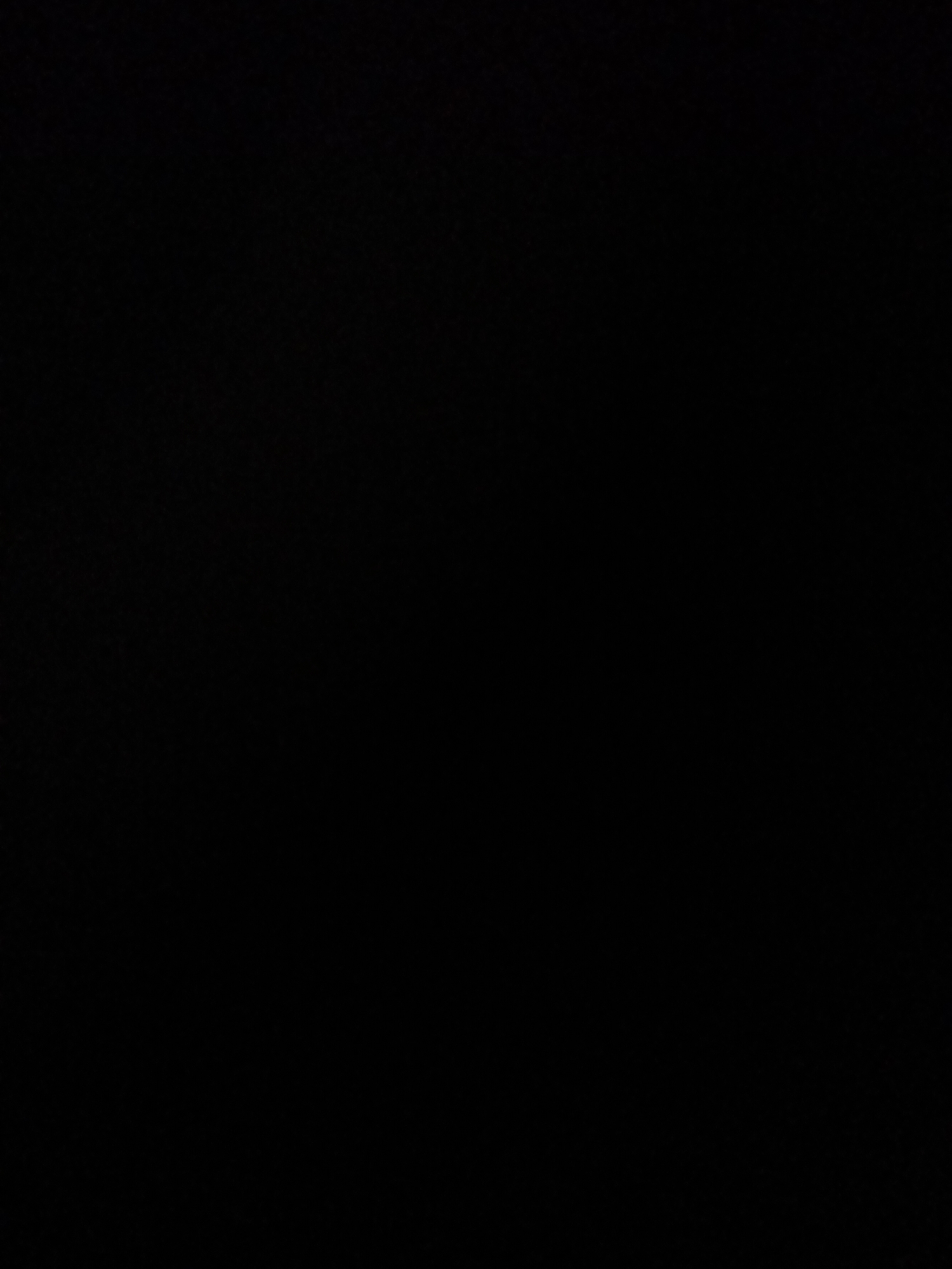The media file is a completely black image. There are no subjects, activities, or notable details visible. There is no visible text.