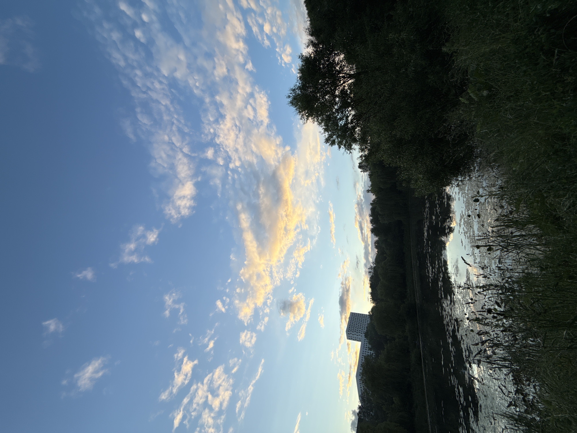 This image captures a serene lake scene in Moscow, Russia, likely during the late afternoon or early evening, given the golden hues of the clouds and the soft light. The sky is a vibrant blue, dotted with scattered clouds that are catching the light, creating patches of yellow and orange. In the distance, a modern, multi-story building with a grid-like facade stands out against the treeline, suggesting an urban or suburban setting within Moscow.
The foreground is dominated by the calm surface of the lake, which reflects the sky and the surrounding vegetation. The water is partially covered with water lilies and other aquatic plants, with reeds and tall grasses growing along the bank in the immediate foreground. The trees bordering the lake are lush and green, creating a dense natural barrier. The overall impression is one of tranquility and natural beauty, juxtaposed with the presence of modern architecture.