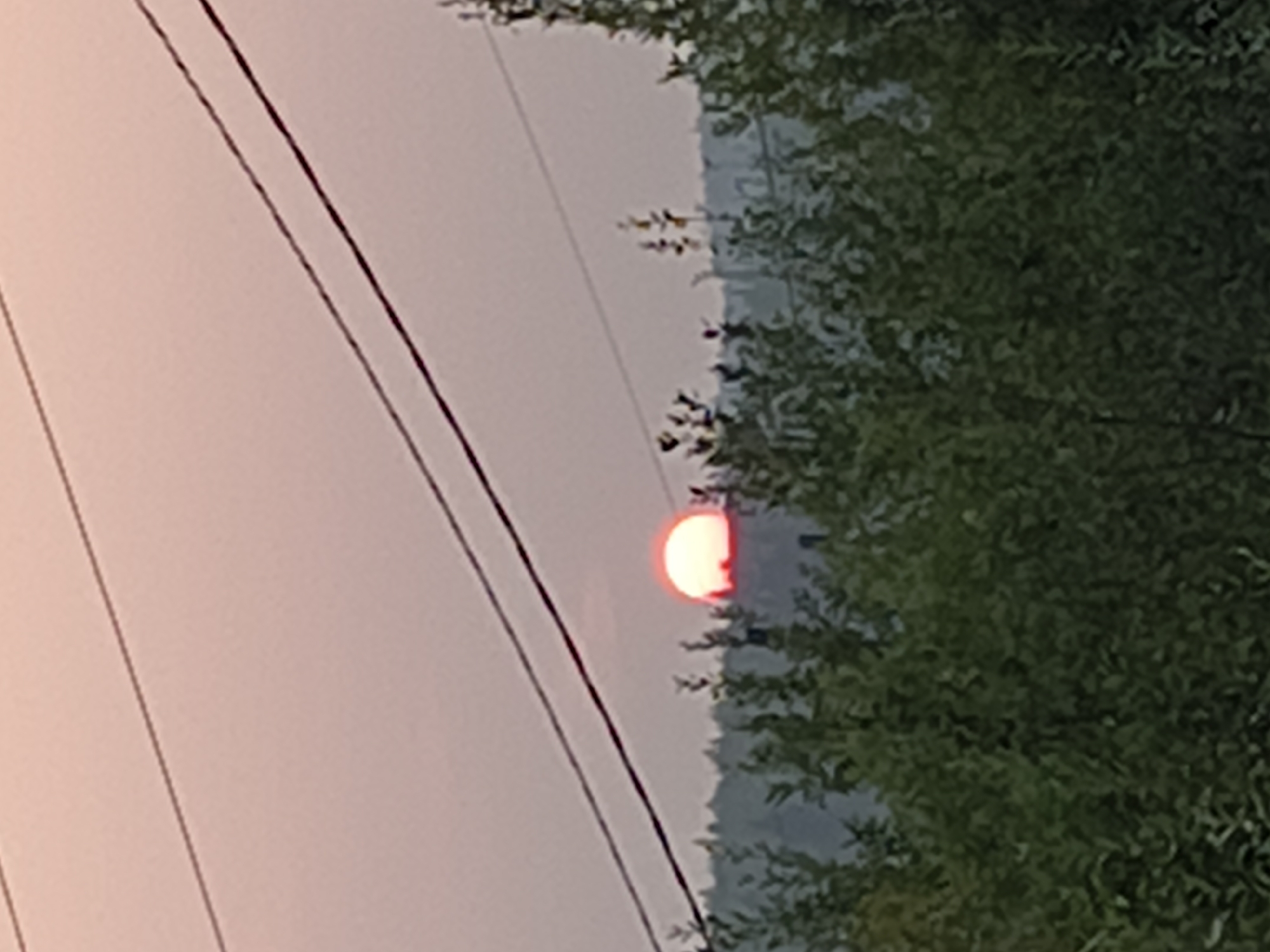 The image captures a sunset over a wooded area, with power lines cutting across the sky. The sun, a bright orange orb, is partially obscured by the treeline, suggesting it is either rising or setting. The sky is a soft pink and orange hue, indicative of the twilight hours. Dense green foliage dominates the lower half of the image, forming a thick canopy of trees. Three dark power lines are strung horizontally across the upper portion of the frame, silhouetted against the sky. The scene appears to be in a rural or semi-rural setting, possibly on the outskirts of Yeruda, Russia, given the context. There are no people or animals visible in the image.