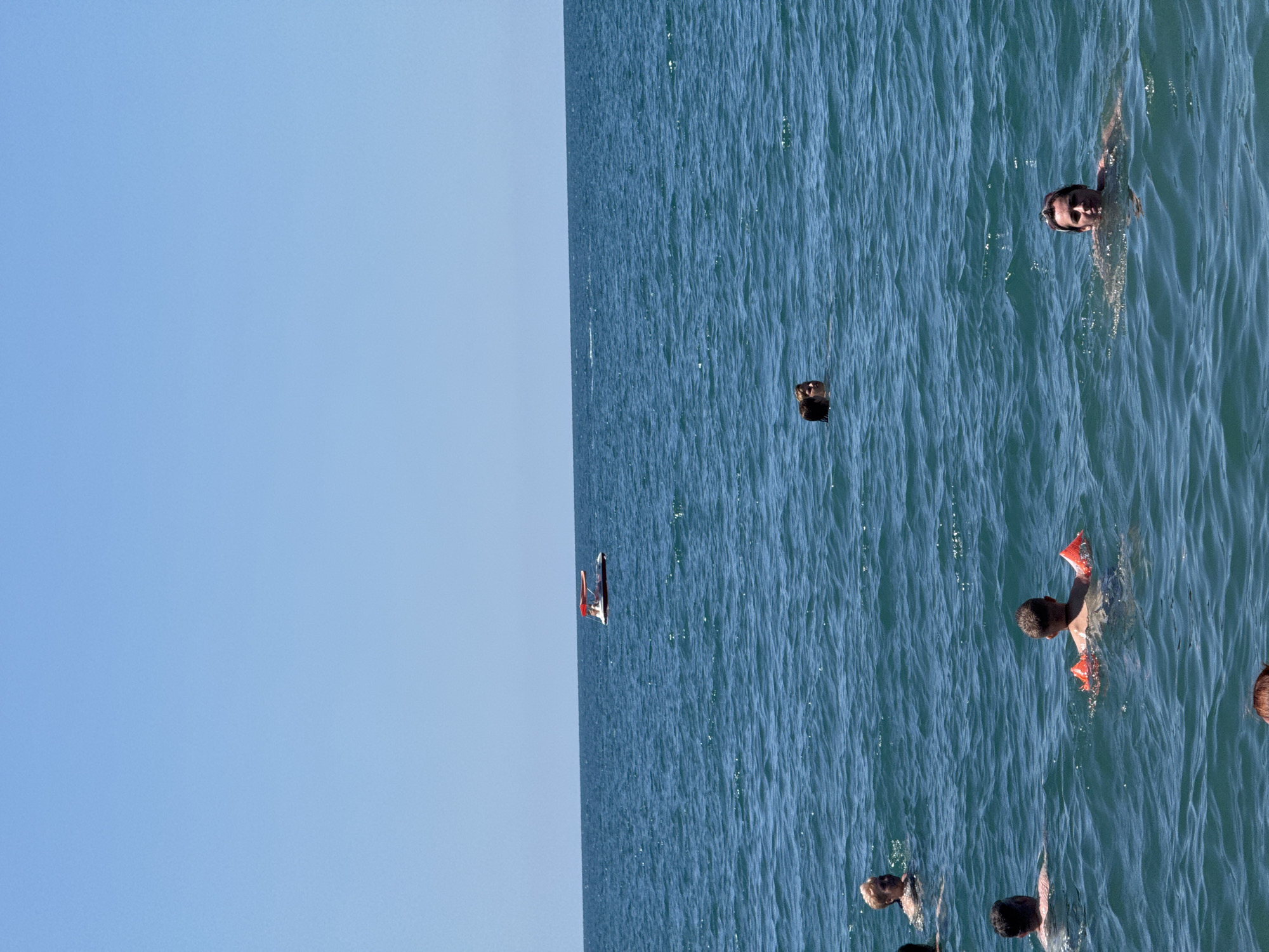 A group of people are swimming in the Black Sea on a clear day. The water is blue and choppy, with small waves. In the distance, a small red and white boat with an awning is visible. The sky is a bright blue with no clouds. The people in the water are at various distances from the camera, with some in the foreground and others further back. Some of the people are wearing flotation devices. The scene appears to be a public beach in Sochi, Russia.
