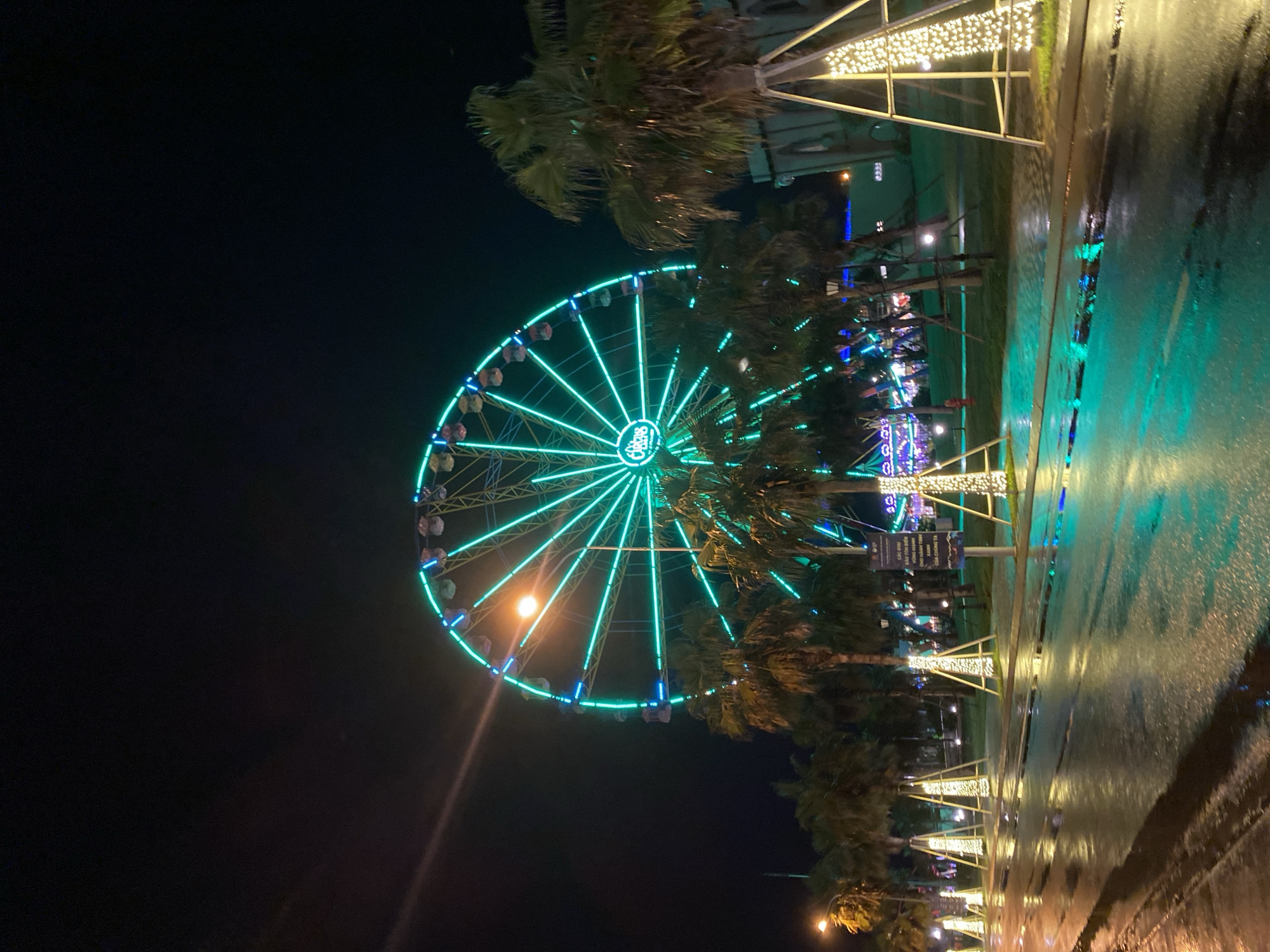 The image depicts a vibrant nighttime scene in an outdoor entertainment area, likely in Tien Thanh Ward, Vietnam. The most prominent feature is a large Ferris wheel, brilliantly illuminated with bright teal and blue LED lights, clearly showcasing its spokes and passenger gondolas. The Ferris wheel dominates the left side of the frame, suggesting it is a central attraction.
To the right of the Ferris wheel, several tall palm trees line what appears to be a pathway or street. These palm trees are also adorned with decorative string lights, adding to the festive atmosphere. The ground beneath the trees and in the foreground is noticeably wet, reflecting the colorful lights of the Ferris wheel and the decorative lights, indicating recent rainfall. This creates a shimmering effect on the surface.
In the background, beyond the illuminated trees, other buildings or structures are dimly visible, further suggesting an urban or resort setting. The overall ambiance is lively and festive, characterized by the glowing lights against the dark night sky.
A sign is visible between the palm trees and the Ferris wheel, containing text that appears to be in Vietnamese. Although mostly unreadable due to distance and lighting, fragments like "BẠN VUI" (You are happy) and "CHO HÀNH TINH" (for the planet) are faintly discernible, providing a specific cultural and geographical cue. No people are clearly visible, but the setup implies a leisure activity or event taking place.
