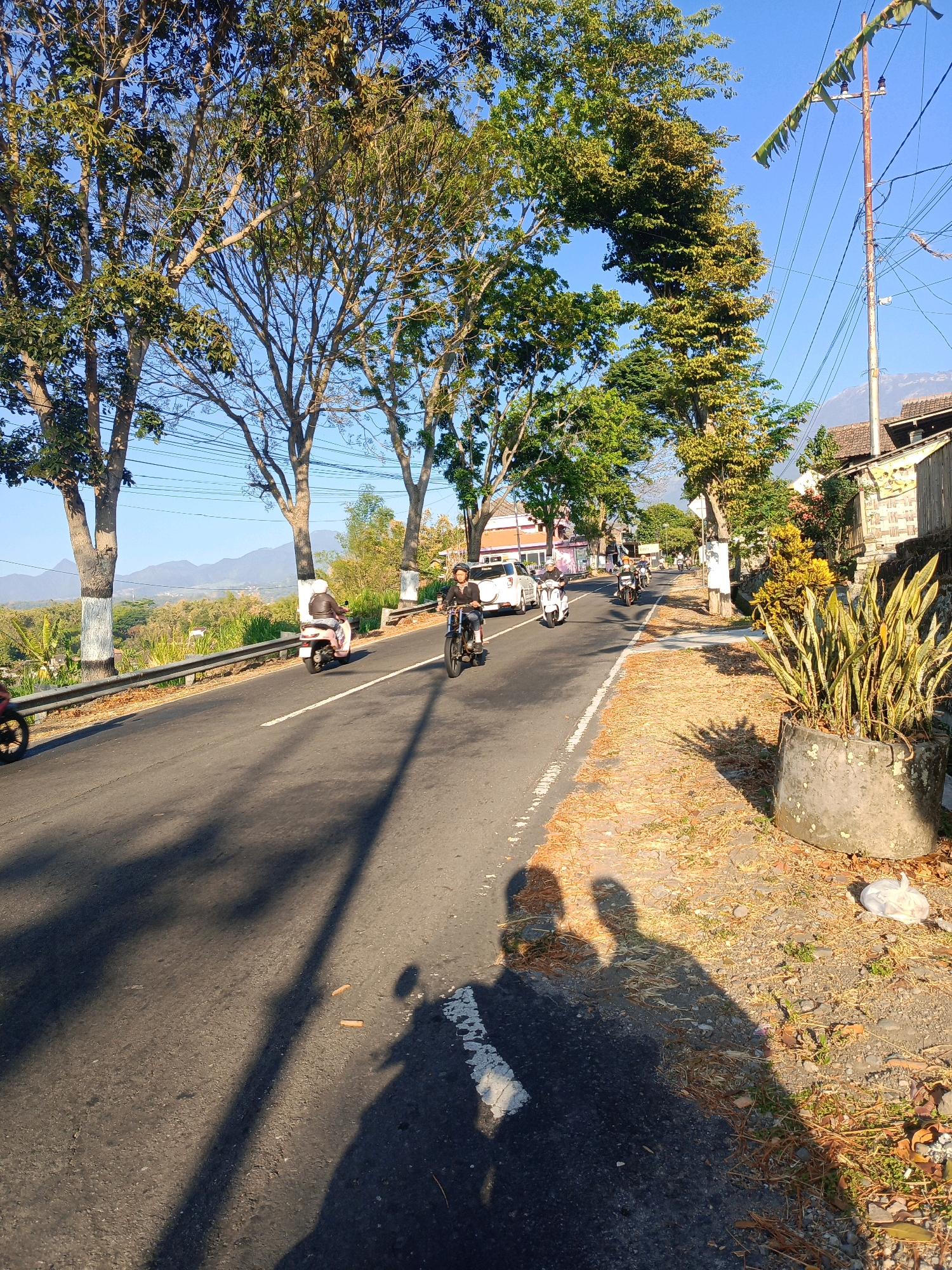 The image depicts a street scene in Kalang, Indonesia, bathed in the warm light of a sunny day. The road, which appears to be a main thoroughfare, is asphalt and shows signs of wear. Several motorcycles and a car are visible on the road, with people riding them. The motorcycles are of various models, and the car is white. The road is lined with trees on both sides, their leaves casting shadows on the asphalt. Some trees have their lower trunks painted white, a common practice in some areas for visibility or cultural reasons.
To the right of the road, there is a sidewalk area with dry grass, fallen leaves, and some small stones. A large concrete planter containing a leafy plant stands near the side of the road. A power pole with numerous wires runs parallel to the road, draped with some decorative flags or banners. In the background, there are buildings with tiled roofs, typical of Indonesian architecture, and further in the distance, mountains rise against a clear blue sky. The overall impression is one of a typical day in a semi-urban or rural Indonesian setting.