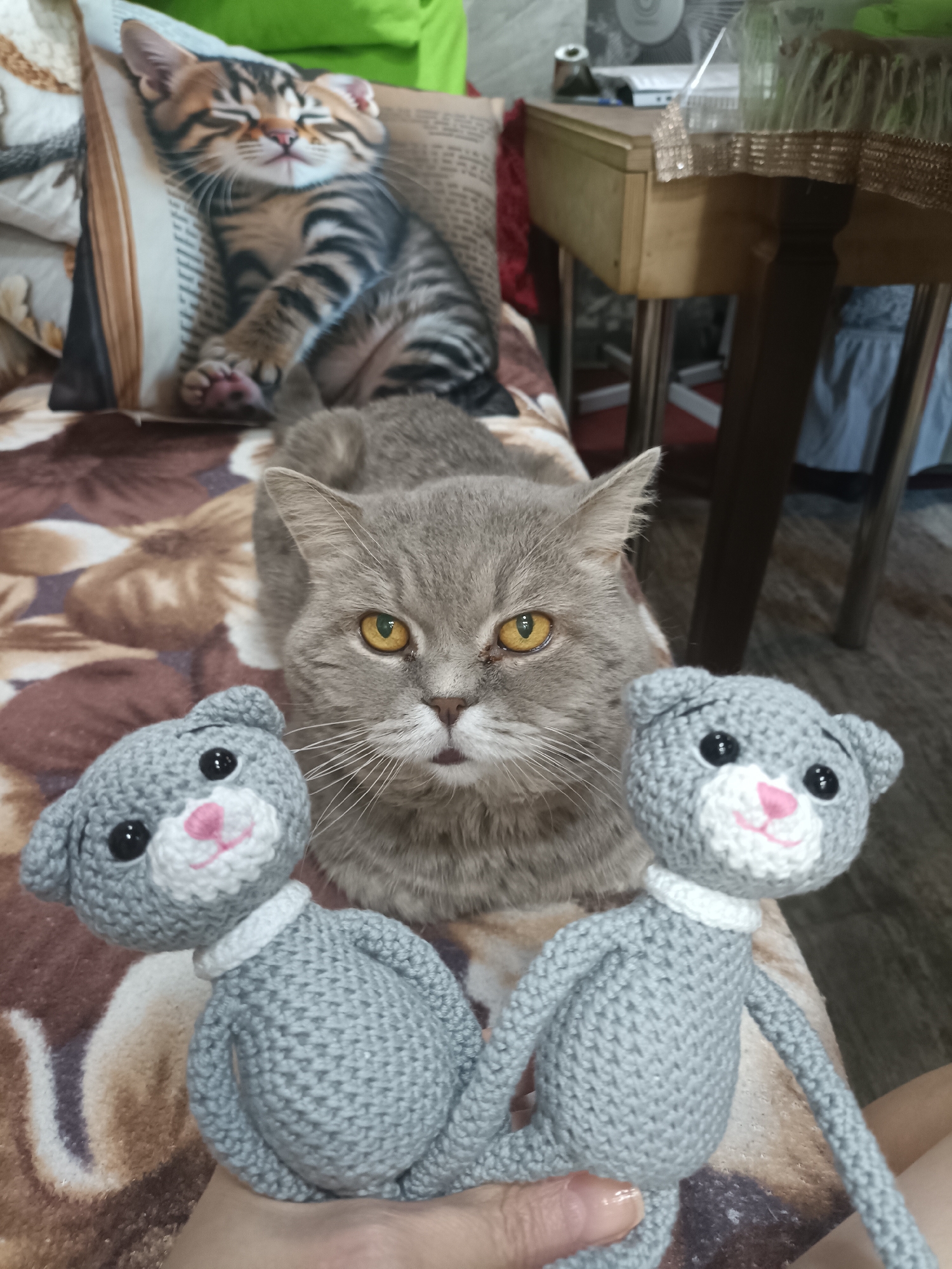 A domestic cat with grey fur and yellow eyes is sitting on a brown and white floral patterned blanket. In front of the cat are two grey crochet toys with black eyes and pink noses. To the left of the cat, a pillow with a printed image of a tabby kitten sleeping is visible. The background shows a wooden table with some objects on it, and a blurry green surface. The scene appears to be indoors, likely a home environment. There is no information in the image to suggest the location is in Bataysk, Russia.