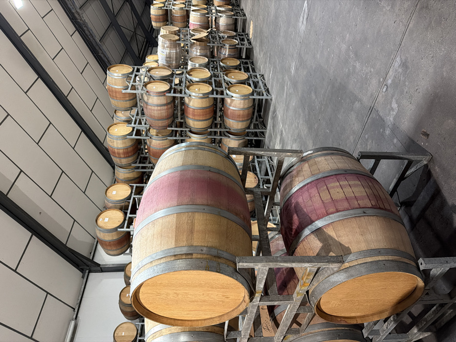 The image depicts a large, organized wine storage facility in Drakenstein Nu, South Africa. The scene is dominated by numerous wooden wine barrels, secured horizontally within multi-tiered metal racking systems. The barrels are primarily light brown oak, banded with dark metal hoops. Many barrels, particularly those closer to the foreground, exhibit prominent dark red staining or residue across their central circumference, indicative of wine exposure. The metal racks are grey and appear robust, stacked at least three levels high, extending deep into the background of the warehouse. The floor is a flat, grey concrete surface, showing minimal wear. The ceiling features white, rectangular acoustic or insulation panels interspersed with dark, structural metal beams, sloping upwards. The ambient lighting is uniform, suggesting artificial illumination. No individuals are present, and no active processes or direct interactions are visible. The overall environment is industrial, tidy, and dedicated to the storage and aging of wine.