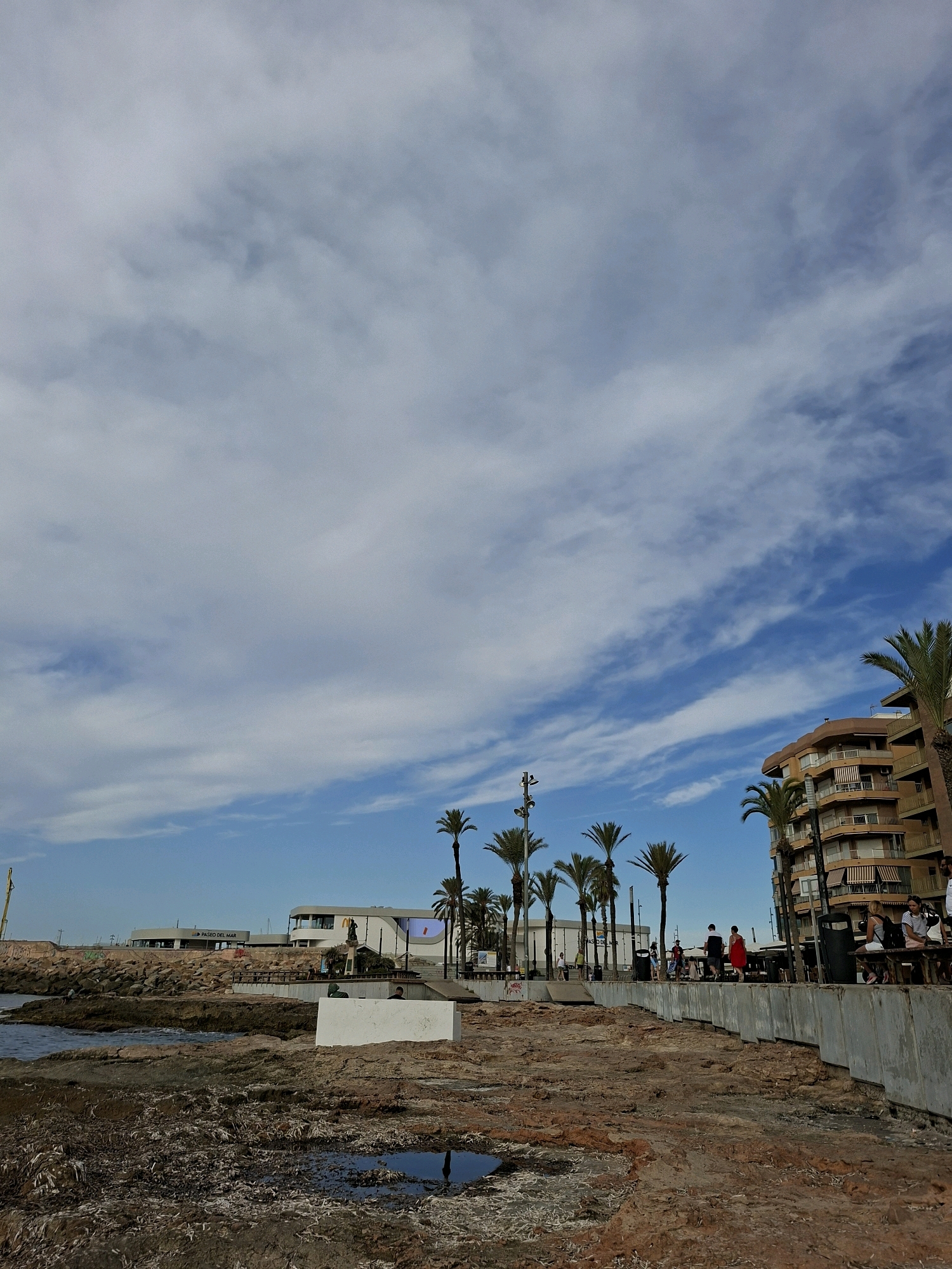 The image depicts a coastal scene in Torrevieja, Spain, likely along the waterfront promenade. In the foreground, rough, reddish-brown rocky terrain is visible, with scattered dried seaweed and a small puddle of dark water reflecting the sky. Beyond this rocky area, the sea meets a paved walkway lined with palm trees and a multi-story building with a rounded facade, typical of Mediterranean coastal architecture. Several people are seen walking and sitting along the promenade. Further in the background, modern-looking buildings with large windows are situated along the coastline, one of which has a sign indicating "PASEO DEL MAR," identifying it as the Seafront Promenade. The sky is partly cloudy with wispy white clouds against a blue background.