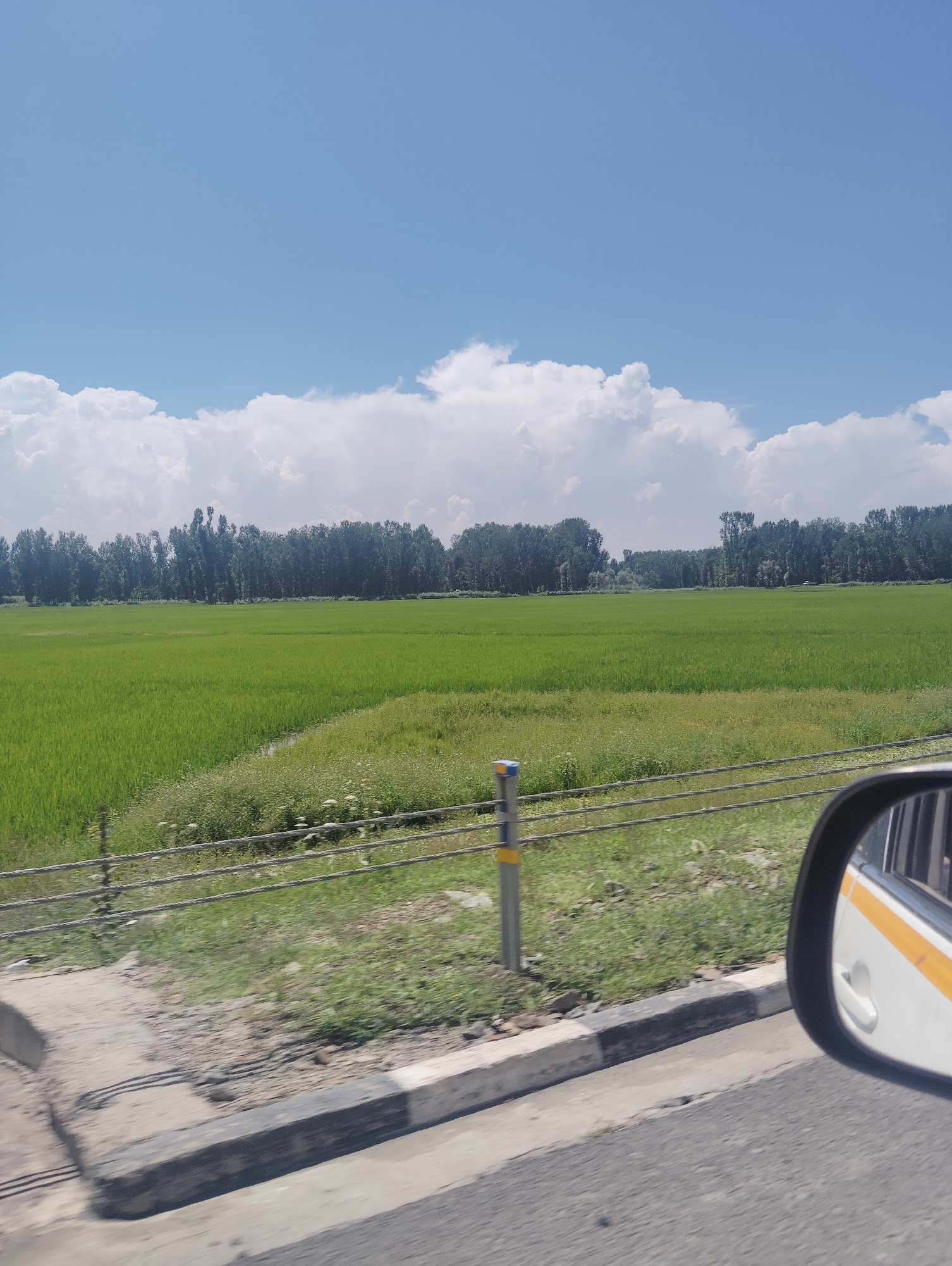 The image captures a rural landscape likely in or near Awantipora, India, characterized by a vast, vibrant green field of crops, possibly paddy, stretching towards a dense line of trees in the background. The sky above is a clear blue, dotted with fluffy white clouds. In the foreground, a roadside is visible with a gray curb and a metal fence. A yellow and blue marker post is situated next to the fence. The reflection of a white vehicle with a yellow stripe is visible in the side mirror on the right. The scene appears to be captured from a moving vehicle, indicated by the blurred motion in the foreground elements.