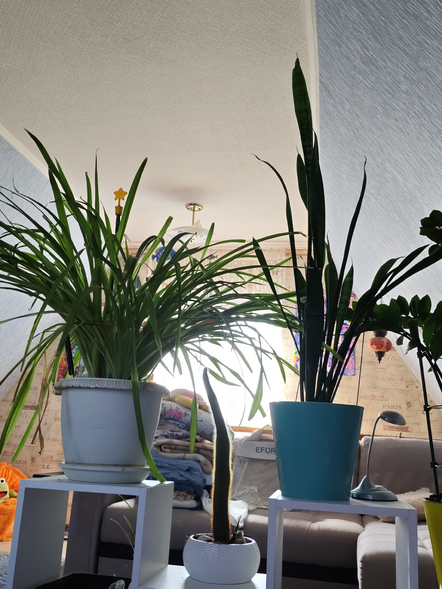 A still life scene featuring several houseplants is depicted, likely indoors. In the foreground, a large, leafy green plant sits in a white pot on a white stand. To its right, a tall, thin snake plant is housed in a blue pot, also on a white stand. Further to the right, a smaller potted plant with cactus-like features is visible, and another plant with broader leaves can be seen. A small desk lamp with a curved arm is positioned on the stand next to the blue pot. In the background, a sofa is partially visible, along with a stack of folded blankets and a decorative wall hanging. Sunlight streams in from a window, creating bright highlights and shadows. The ceiling appears to be textured and slopes downwards. The overall impression is one of a domestic interior, possibly a living room or sunroom, where plants are a prominent feature. The mention of Rostov-on-Don, Russia in the prompt is not supported by any visual cues in the image.