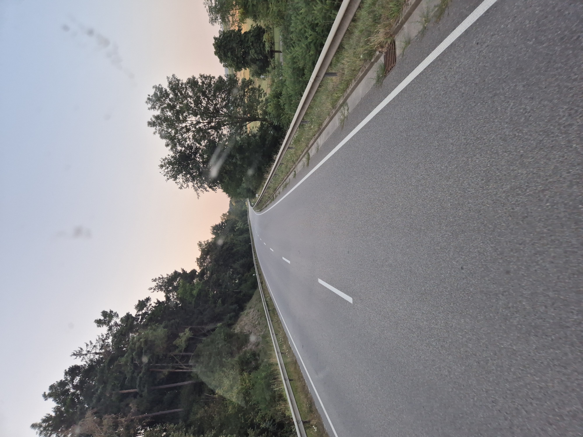 The image depicts a two-lane asphalt road in a rural setting, likely on the outskirts of Siegenburg, Germany. The road curves gently to the left, bordered by a metal guardrail on both sides. Dense trees and foliage line the left side of the road, forming a hillside. The right side of the road also features greenery and scattered trees, with a glimpse of a field in the distance. The sky is a pale gradient of blue and pink, suggesting either early morning or late evening. There are no visible people or vehicles in the frame. The overall impression is one of a quiet, scenic drive.
