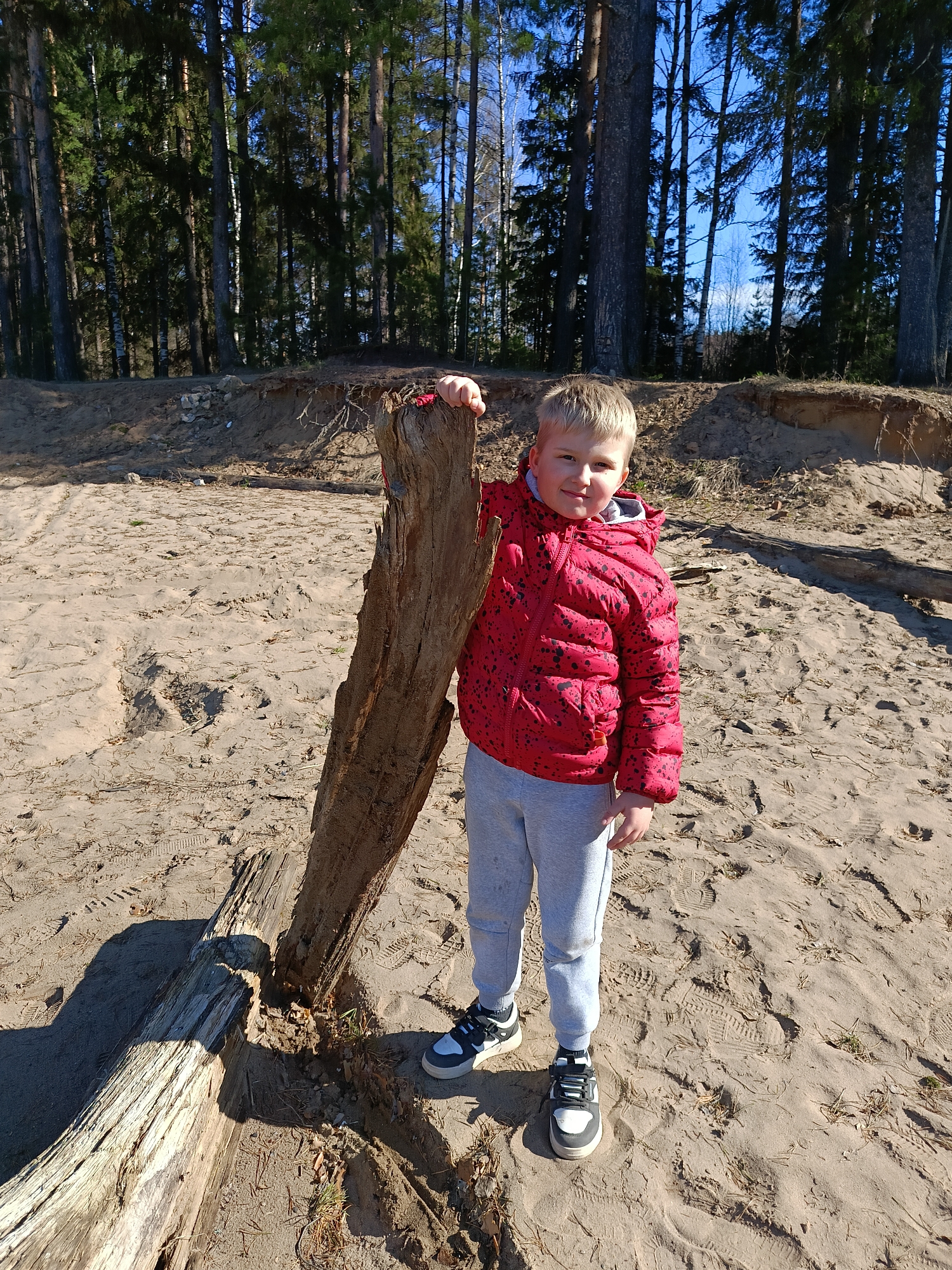 A young boy with blond hair stands on a sandy beach, leaning against a weathered log. He wears a red puffer jacket and gray sweatpants, with blue and gray sneakers. Behind him is a forest of tall pine trees, with a clear blue sky visible through the branches. The beach is light brown sand, marked with footprints and some scattered grass. The scene is bathed in sunlight, creating strong shadows. The location is most likely the beach in Chaikovsky, Russia.