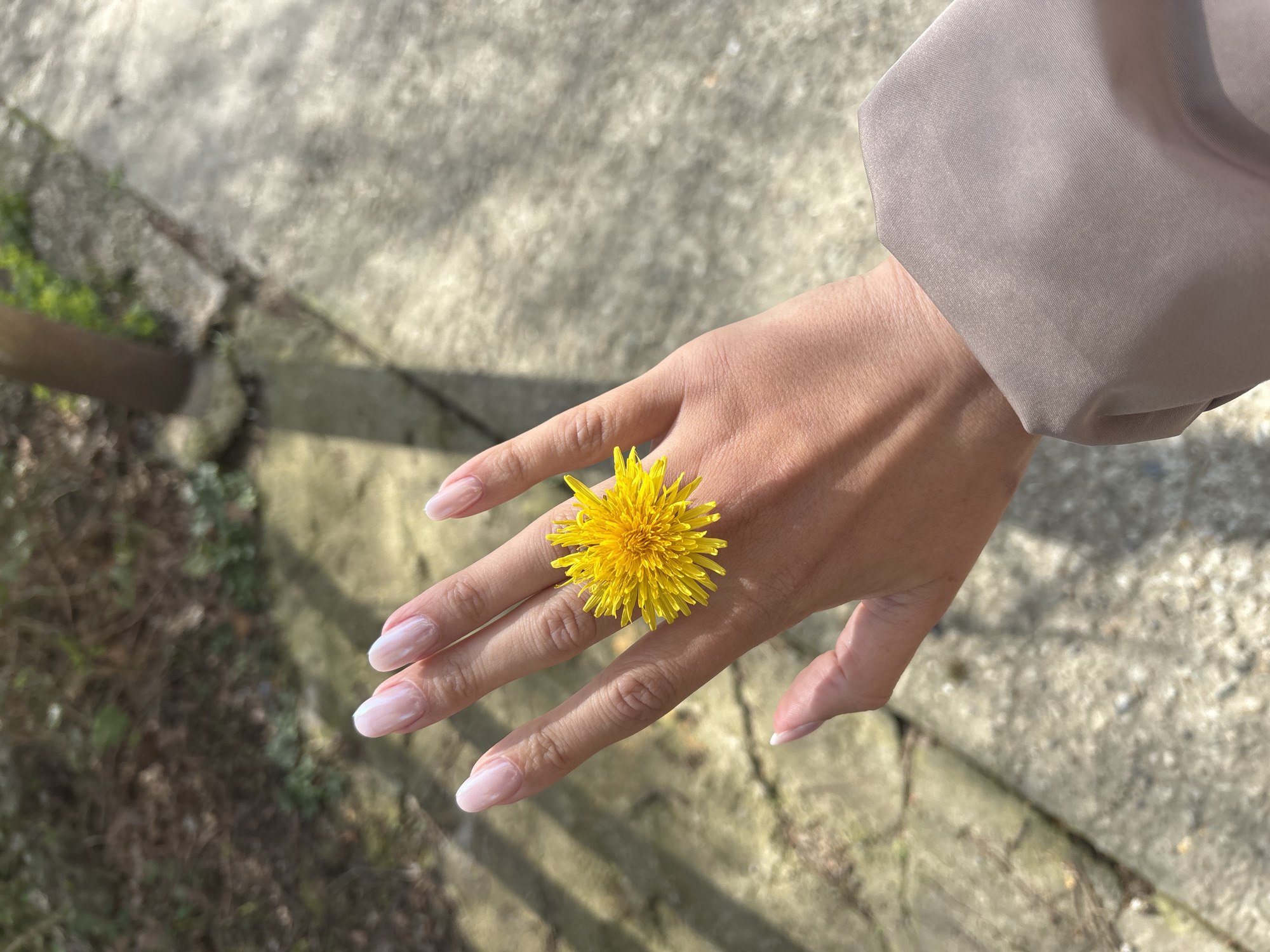 A woman's hand is shown with a dandelion flower placed like a ring on her finger. The hand is fair-skinned and manicured with light pink nails. A taupe-colored sleeve is visible on the wrist. The background is a concrete surface with shadows and a patch of green vegetation in the lower left corner. The image appears to be taken outdoors in natural lighting. It is not possible to determine that the image was taken in the city of Sochi, Russia without further information.