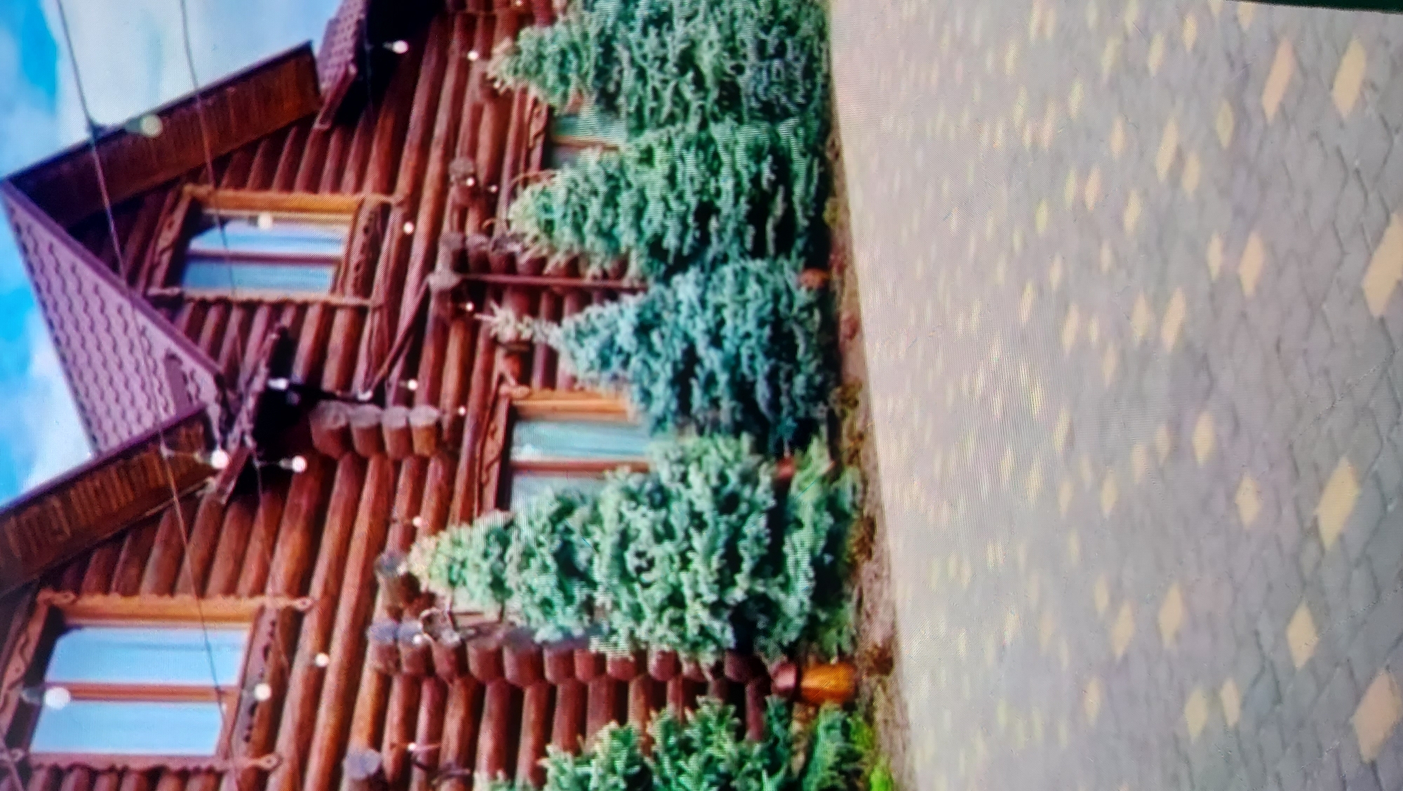 A rustic, wooden lodge-style building is the central focus of this image. The lodge features multiple stories constructed from large, horizontal logs, with decorative carvings around the windows. Small, white string lights are strung across the front of the building, adding a festive touch. In front of the lodge, a row of small, evergreen trees, possibly spruce or fir, are planted. The ground in front of the trees is a paved walkway with a patterned design of interlocking grey and yellow bricks. The sky above is a pale blue with some light cloud cover. The overall impression is of a cozy, possibly tourist-oriented establishment in a natural or semi-rural setting.