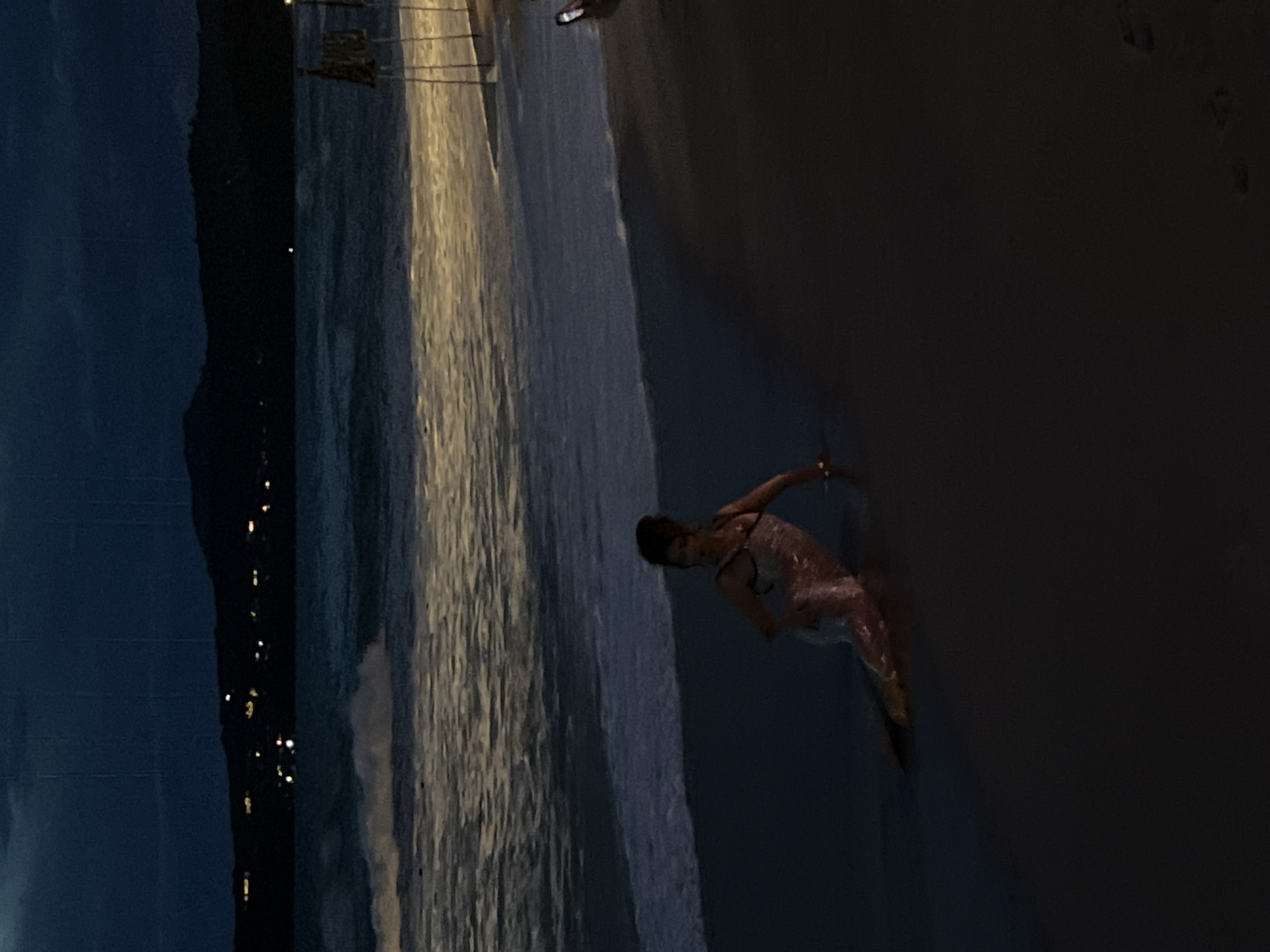 A woman, dressed in a sheer, possibly translucent garment, is positioned on a dark sandy beach at the water's edge. Her body is contorted in a reclining pose, with one knee bent and the other leg extended. She appears to be partially submerged in the shallow water, as the garment seems to cling to her legs. Her hair is styled upwards, and her gaze is directed away from the camera. In the background, the ocean stretches out with gentle waves lapping the shore. Beyond the water, a dark silhouette of hills or mountains is visible, dotted with faint lights indicating a distant settlement. The sky above is dark and cloudy, suggesting a nighttime or twilight setting. The overall lighting is dim, with a prominent streak of light reflecting on the water, possibly from a distant light source. The scene evokes a sense of mystery and tranquility.