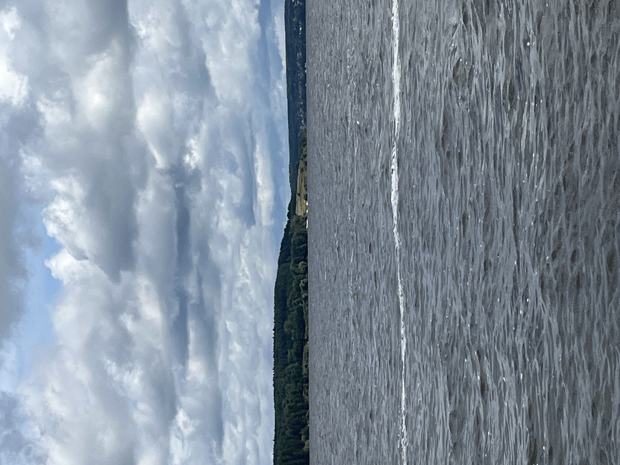A wide shot shows a choppy grey lake with a white wake visible across the lower half of the frame. In the background, a dense, dark green forest stretches across a low, rolling hillside. Above the treeline, several small, light-colored buildings are scattered along the distant horizon. The sky is filled with dramatic, heavy grey clouds, with small patches of bright blue sky visible in the upper portion of the image. The scene appears to be a natural landscape, possibly near the city of Lyady, Russia, given the characteristic dense forests and wide bodies of water often found in the region.