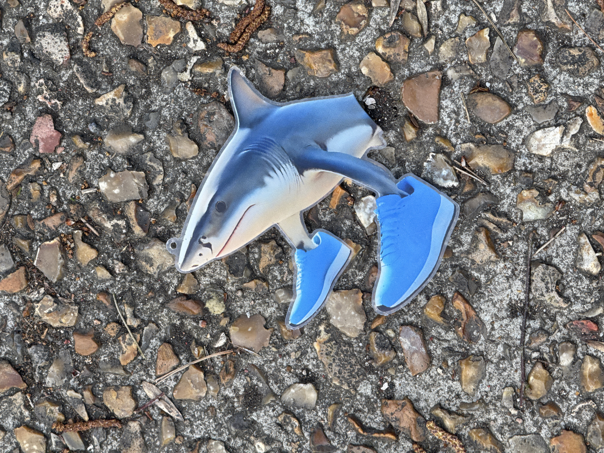 A shark-shaped cutout with blue running shoes lies on a pebbled concrete surface. The location is not discernible from the image.