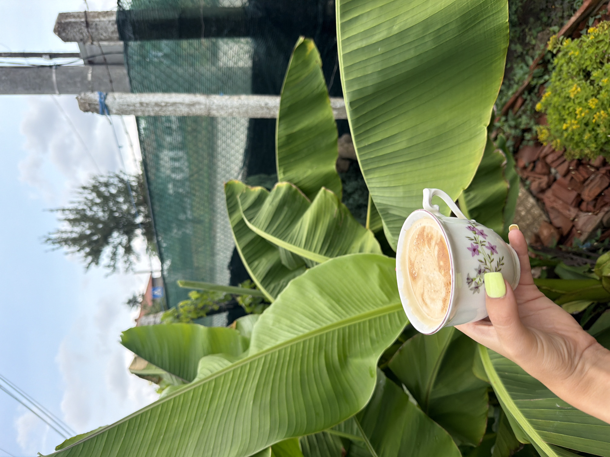 A person's hand with neon green nail polish is holding a white teacup filled with coffee. The teacup has a floral design of purple flowers and green leaves. Large green banana leaves fill the foreground and frame the teacup. In the background, there is a green fence, concrete posts, and a sparse tree against a cloudy sky. The scene appears to be in a backyard or garden setting.