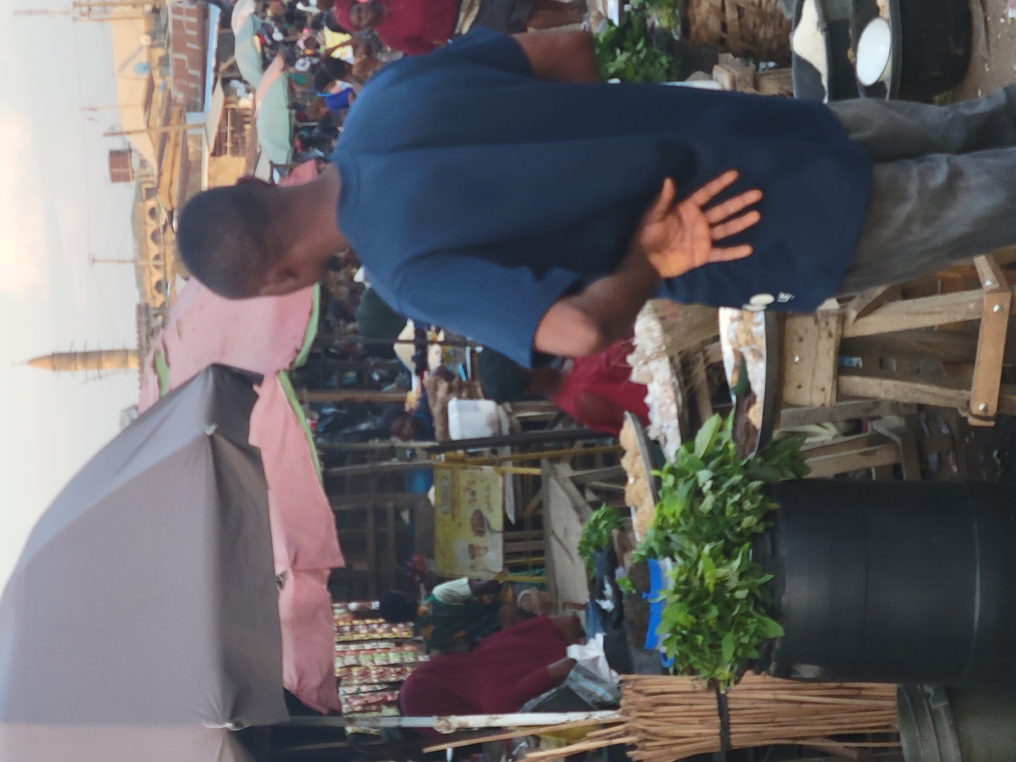 The image depicts a busy outdoor market scene in Madalla, Nigeria. In the foreground, a man in a blue shirt and grey pants stands with his back to the camera, his right hand visible. A large black container is positioned to the right, with bundles of leafy green plants tied to it.
Several stalls are set up in the background, covered with pink and grey tarps. People are visible in the crowd, suggesting a crowded environment. Structures and buildings, including a tall, thin tower, are visible in the distant cityscape. The overall setting implies a typical commercial area within Madalla.