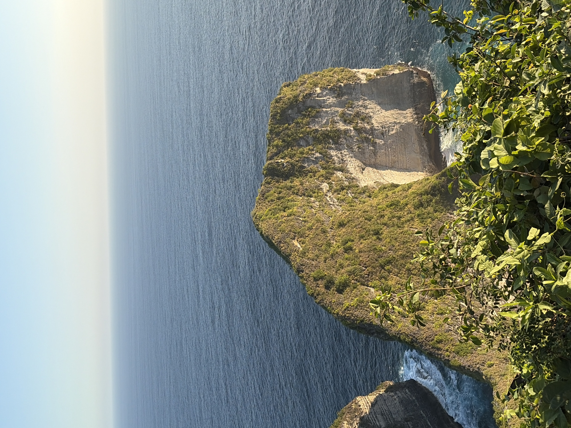 The image is an aerial, eye-level view of a coastal landscape in Nusa Penida, Indonesia. The foreground is dominated by lush green foliage, suggesting a cliffside vantage point. Beyond the vegetation, a dramatic cliff face with layered rock formations plunges into the ocean. The sea is a deep blue, with white waves crashing against the base of the cliffs. In the distance, the vast expanse of the ocean meets a pale, gradient sky. A large, rocky outcropping covered in green vegetation rises from the sea to the right of the main cliff. The lighting suggests it is either early morning or late afternoon, with the sun casting a warm glow on the scene. No people or man-made structures are visible.