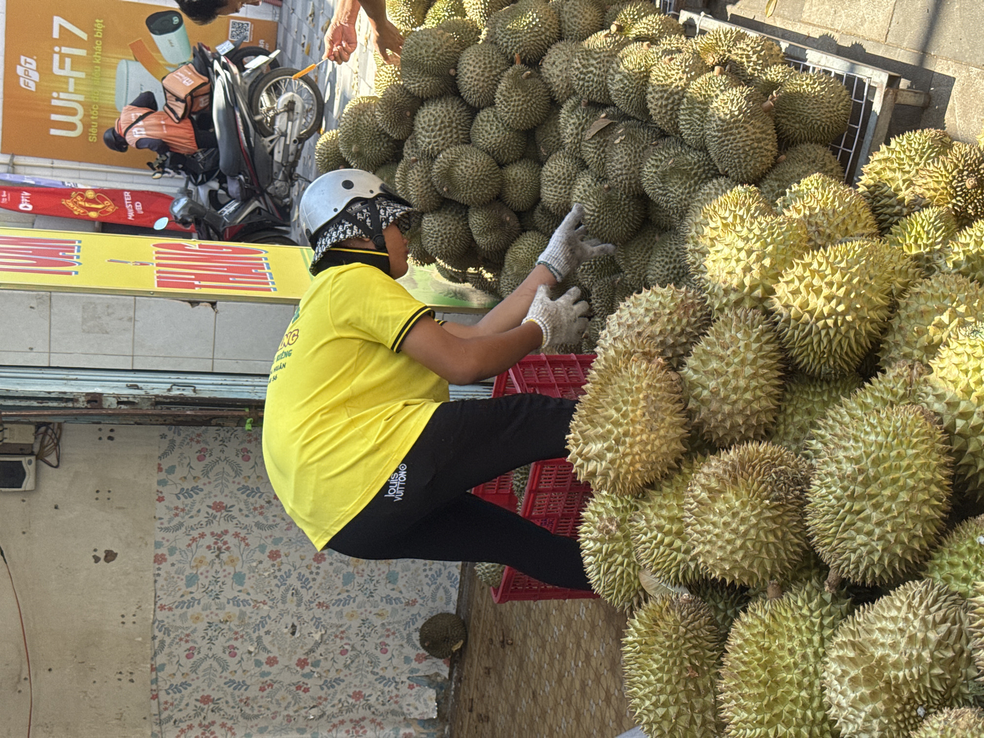 The image captures a street scene in Phú Thủy, Vietnam, likely near a market or roadside stall. A person wearing a bright yellow t-shirt and black pants with a "Louis Vuitton" logo is kneeling, sorting through a large pile of durians. They are wearing white gloves and a helmet, suggesting protective measures for handling the spiky fruit. To the left, a red plastic crate holds more durians. In the background, a motorcycle with delivery bags is parked, and a person in an orange vest is visible. A colorful, peeling mural adorns the wall behind the durian pile. The ground appears to be paved. The scene is illuminated by bright sunlight, casting distinct shadows.