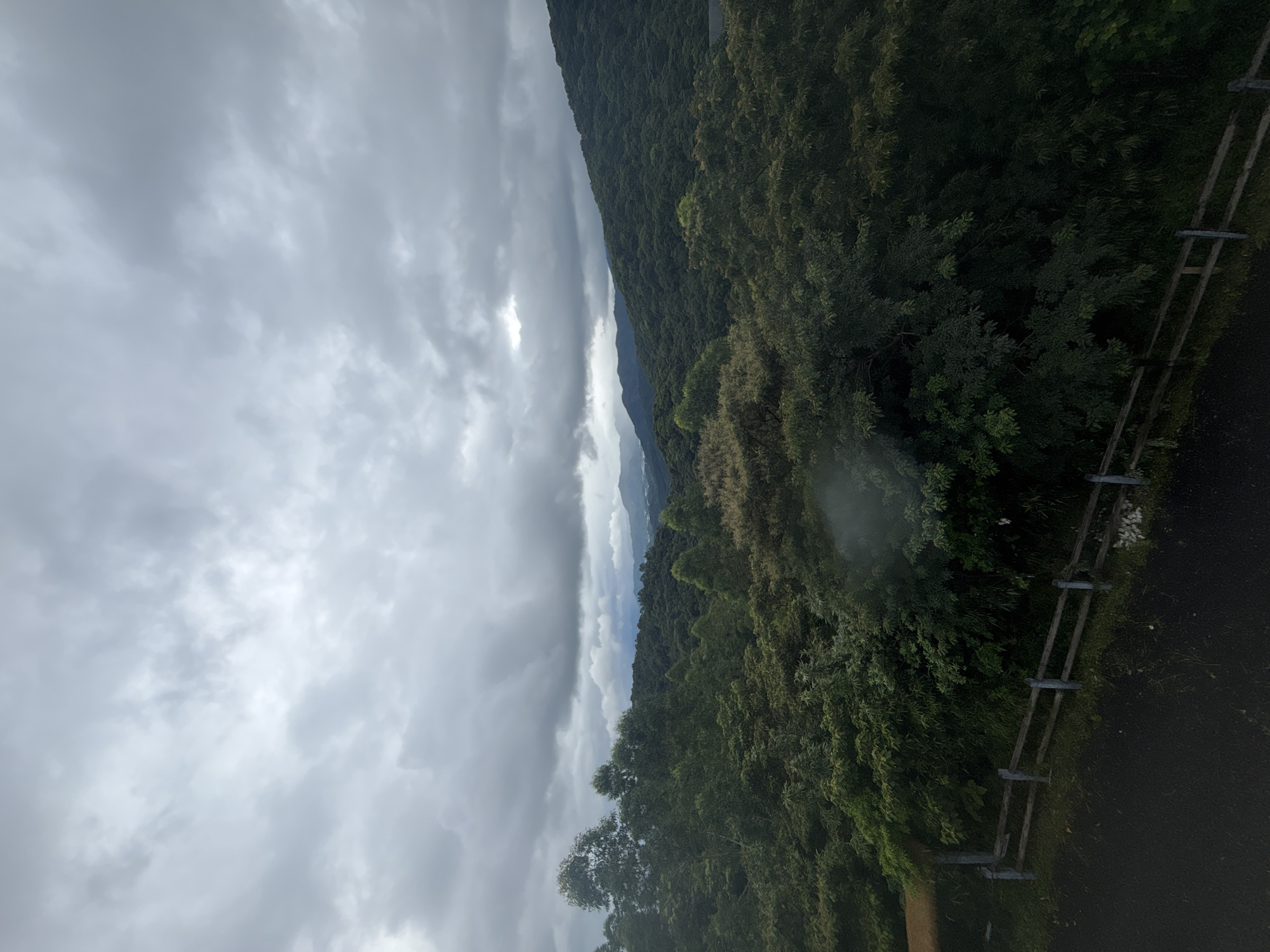 The image depicts a lush, green mountainous landscape under a cloudy sky. In the foreground, a dark asphalt path runs along a wooden fence. Beyond the fence, dense foliage and trees dominate the scene, with varying shades of green indicating different types of vegetation and varying levels of light penetration. The midground features rolling hills covered in trees, extending into the background where further mountain ranges are visible, softened by distance and haze. The sky is overcast with heavy, grey clouds, suggesting a possibility of rain or diffused light. There are no people, animals, or specific man-made structures visible, apart from the fence and path in the immediate foreground. The overall impression is one of a natural, possibly mountainous, wilderness area. The specific location within Guangzhou City, China, cannot be determined from the image alone.