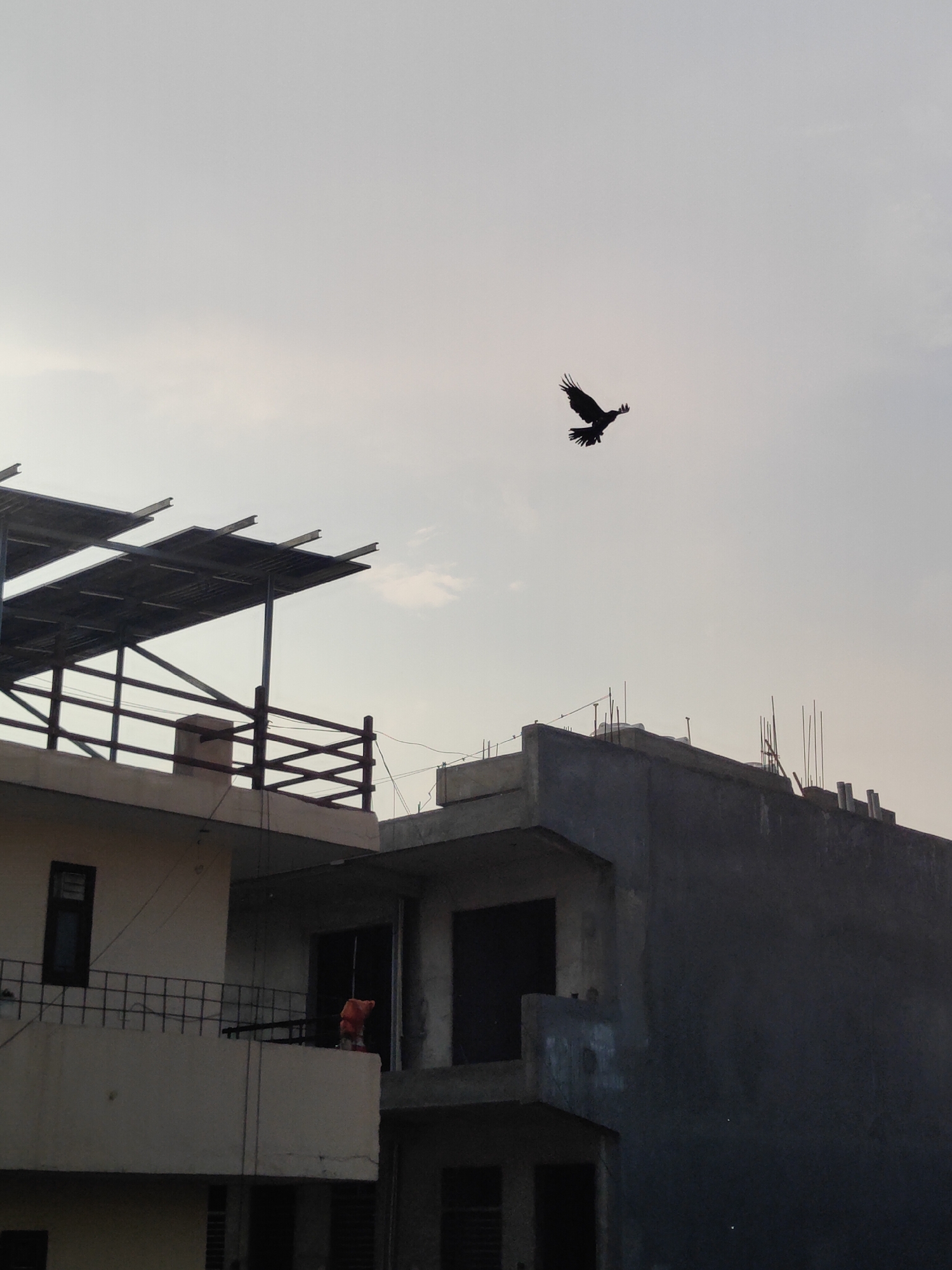 A silhouetted bird is captured mid-flight against a hazy, overcast sky. The bird's wings are spread wide, and its body is angled slightly forward, suggesting motion. Below the bird, a residential building is visible, partially under construction. The building has multiple levels and features a metal canopy or roof structure on the upper level, supported by beams. A railing with a criss-cross pattern runs along a balcony. On one of the balconies, a small, orange object, possibly clothing or a sack, is hanging. Another section of the building appears to be a darker, unfinished concrete structure, with vertical rebar protruding from the top. The scene is set in Gurgaon, India, and the lighting suggests it is either early morning or late afternoon due to the soft, diffused light and the silhouettes. The sky is a pale, uniform gray, indicating cloudy or foggy weather. There is no visible text in the image. The overall mood is somewhat stark and still, with the dynamic element of the flying bird contrasting with the static, partially built environment.