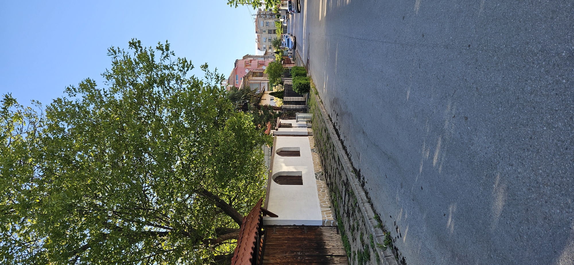 The image shows a street scene in Blagoevgrad, Bulgaria. A tree with green leaves dominates the left side of the frame. A white wall with three arched windows and a wooden gate stands next to the tree. The street runs along the right side, with buildings visible in the distance. Cars are parked along the street. The sky is clear and blue.