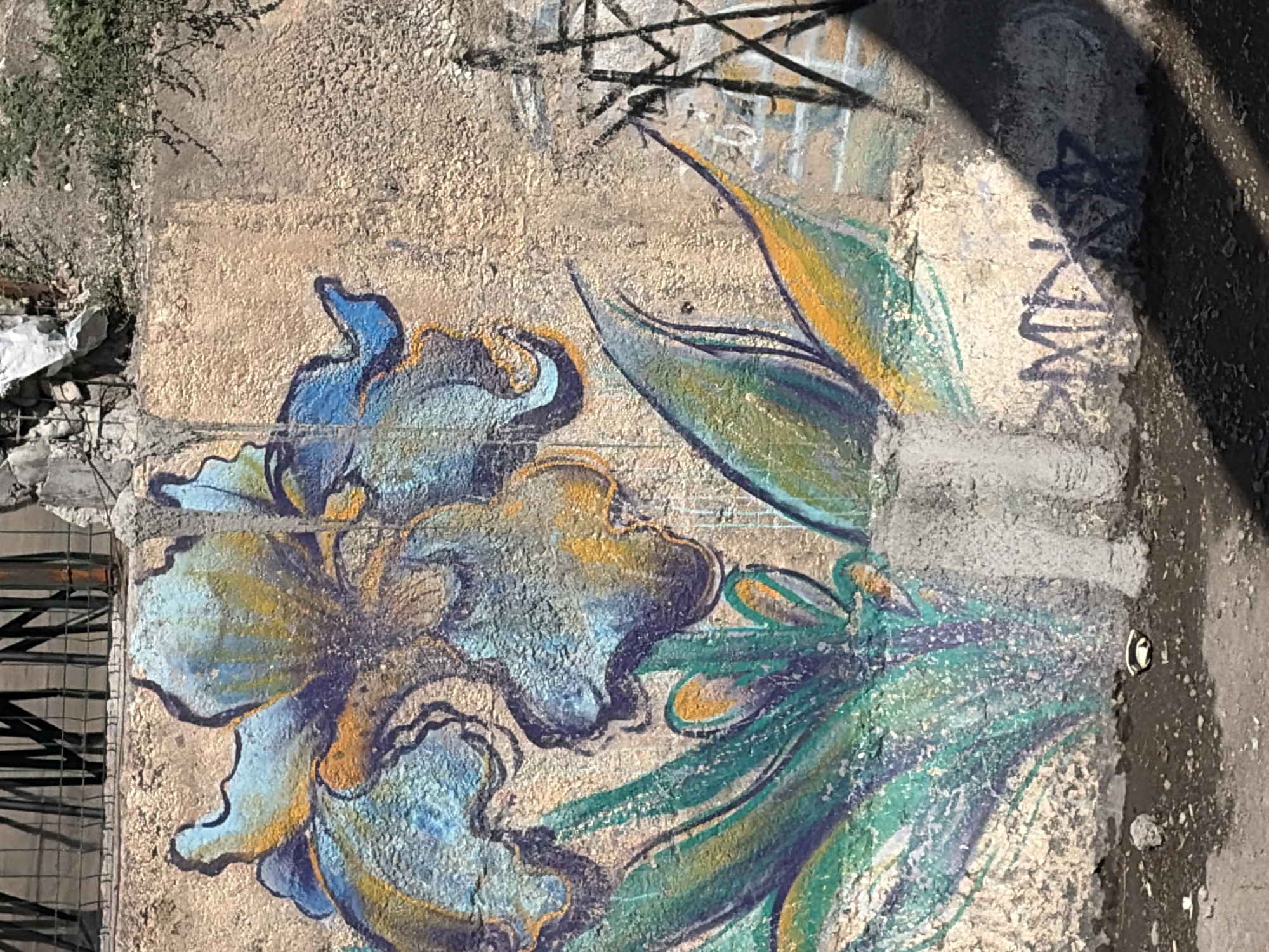 The image shows a graffiti mural on a concrete wall depicting a large, stylized flower with blue, purple, and yellow petals. Green leaves extend from the base of the flower. The wall appears weathered and textured, with some areas of damage and debris. In the background, there is a metal fence and some vegetation. A shadow from a nearby structure falls across the right side of the mural. There is also graffiti tags on the lower portion of the wall.