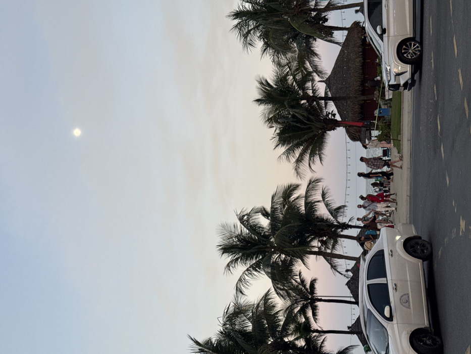 The image displays a coastal street scene at dusk within Ngũ Hành Sơn Ward, Vietnam. The sky, occupying the upper two-thirds, transitions from pale blue overhead to a light orange and pink hue near the horizon. A bright white, circular moon is prominent in the upper right quadrant.
In the mid-ground, a dense line of palm trees with dark green fronds creates a natural barrier between the roadway and the beach area. Behind these trees, multiple individuals are present on a pedestrian path or sandy area adjacent to the ocean. They are casually dressed and appear to be walking or standing in small groups. Notable individuals include a person in a red dress and another in a plaid shirt.
Several structures with dark, conical thatched roofs are visible among the palm trees, extending towards the ocean. A horizontal string of decorative lights is suspended between some trees and structures. A narrow strip of the dark blue ocean is visible at the horizon, below the sky and behind the beach activity.
The immediate foreground features a dark asphalt road with faint yellow lane markings. Two white vehicles are partially visible on this road, both oriented towards the right. On the left, a four-door sedan with black wheels and a circular logo on its driver's side door is present. On the right, a compact SUV with silver alloy wheels is visible.