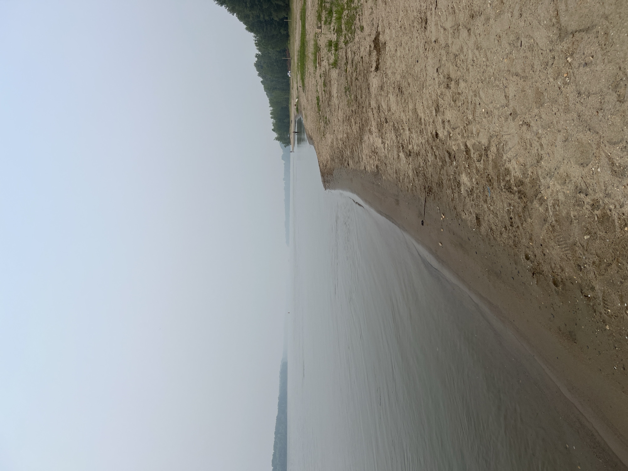 This image depicts a hazy, overcast day at a sandy beach adjacent to a wide river. The sand is light brown with scattered pebbles and some debris. The river occupies the left half of the frame, its surface appearing calm and muted by the fog. A distant tree line forms the far bank of the river, almost entirely obscured by the atmospheric haze. On the right side of the image, the beach gives way to a sparse line of trees and grass. Several small structures, possibly picnic tables or posts, are visible on the grassy area. A white vehicle is parked among the trees. Two figures are standing on the beach in the middle distance, and another figure appears to be in the water further down the shoreline. The scene appears to be in Mochishche, Russia, suggesting a natural, possibly recreational area.
