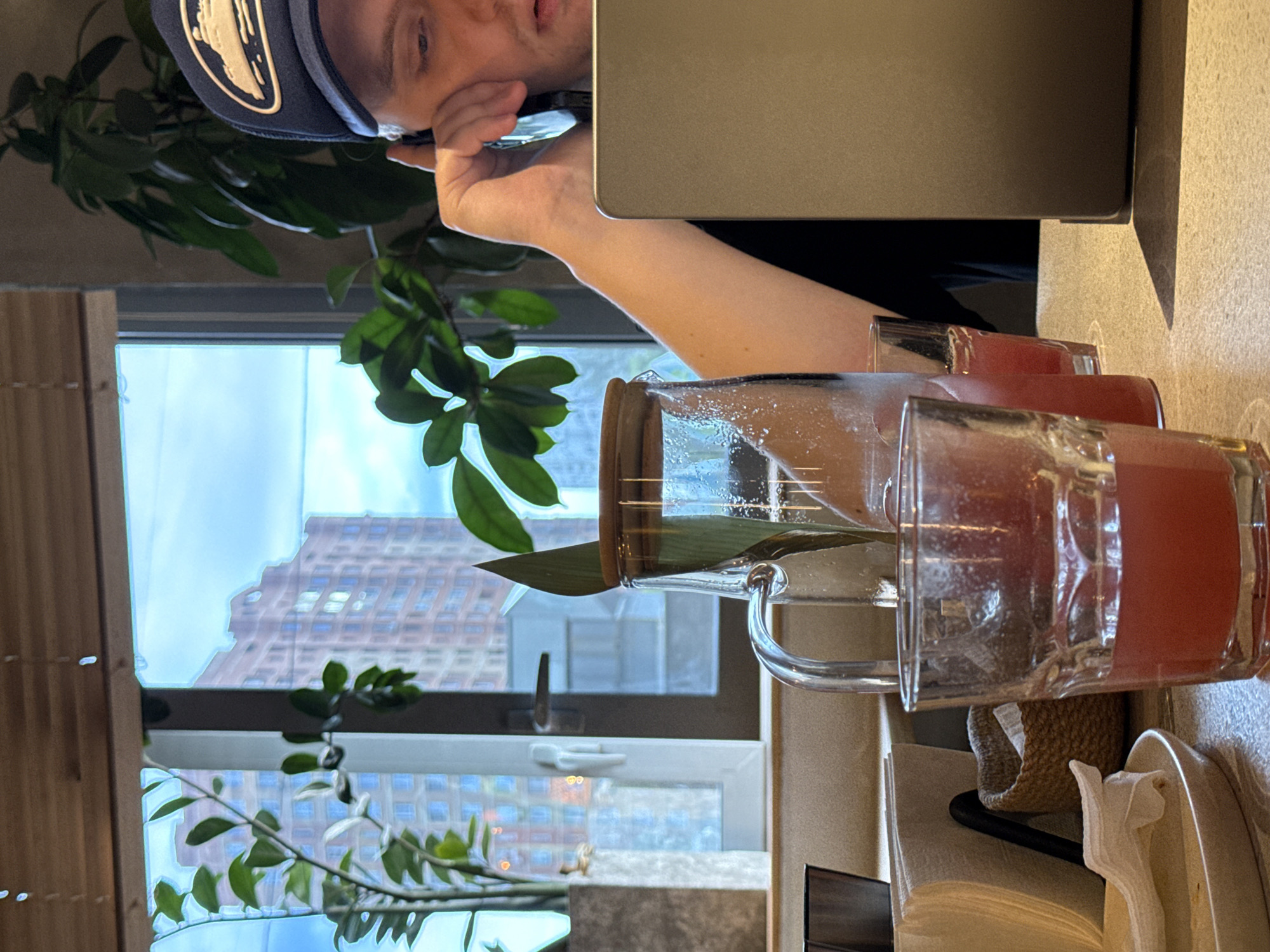 The image shows a close-up of a person wearing a dark blue baseball cap with a gold emblem, resting their head on their hand. They are looking at a laptop screen, which is partially visible. In the foreground, there are two glasses filled with a pinkish-red liquid, likely a drink. One glass has a metal handle. A pitcher, also containing the same pink liquid, is placed next to the glasses. A green plant with broad leaves is visible in the background, partially obscuring a window. Through the window, a multi-story building with numerous windows is visible, suggesting an urban setting. The overall lighting suggests it might be daytime, possibly overcast given the diffused light. The scene appears to be indoors, likely a cafe or a home office.