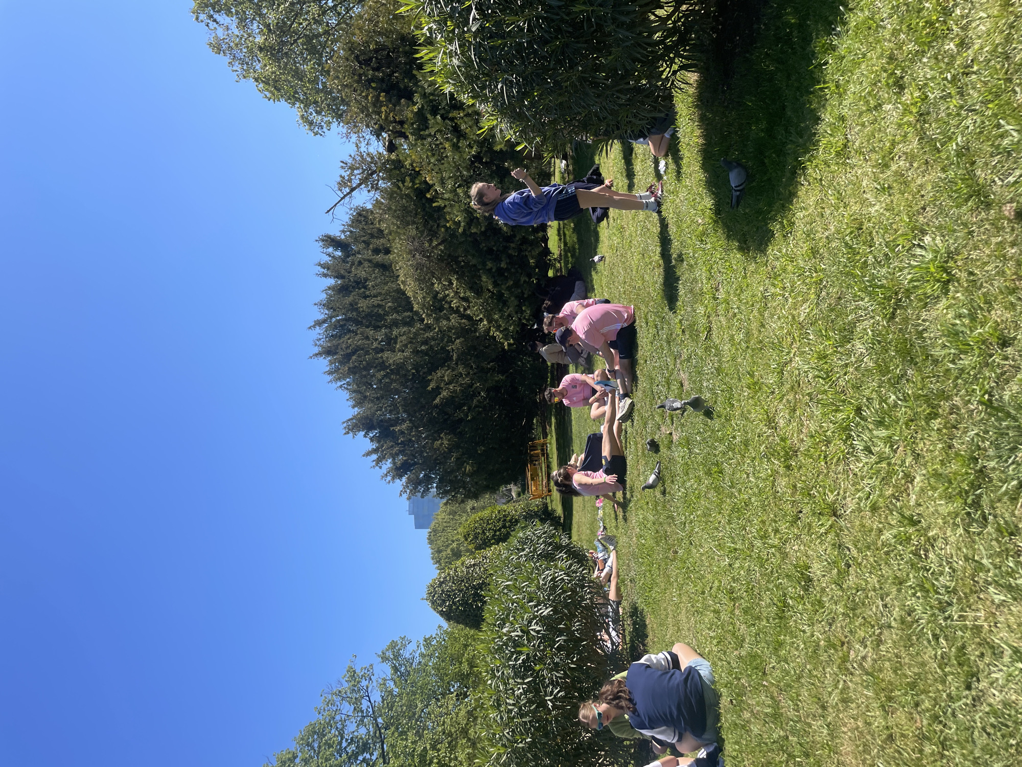 A group of people are sitting and standing on a grassy lawn in a park, with trees and bushes surrounding them. Several pigeons are foraging on the grass near the people. The sky is clear and blue. In the background, a tall building can be seen, suggesting an urban location. Based on the environment, it is likely that this image was taken in a park within the city of Barcelona, Spain.