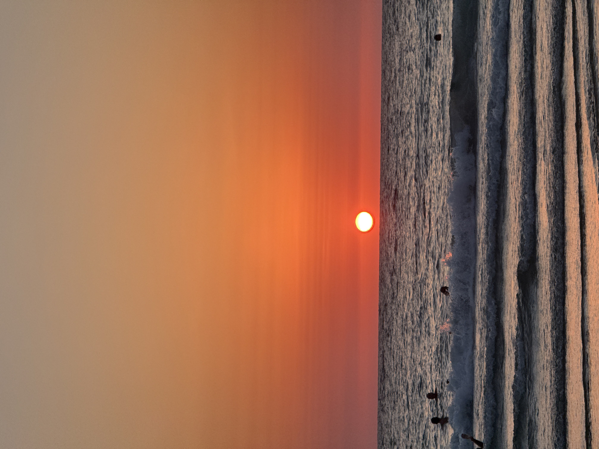 This is a photograph of a sunset over the Mediterranean Sea, likely taken from a beach in Tel-Aviv, Israel. The sky is a gradient of warm colors, transitioning from a soft peach near the horizon to a pale orange higher up. A bright, round sun is positioned just above the waterline, casting a golden glow on the scene. The sea is calm, with gentle waves rolling towards the shore. Several people are visible in the water, appearing to swim or body surf. Some are silhouetted against the bright sky, while others are more visible in the choppy water. The overall impression is one of a serene and picturesque end to the day.
